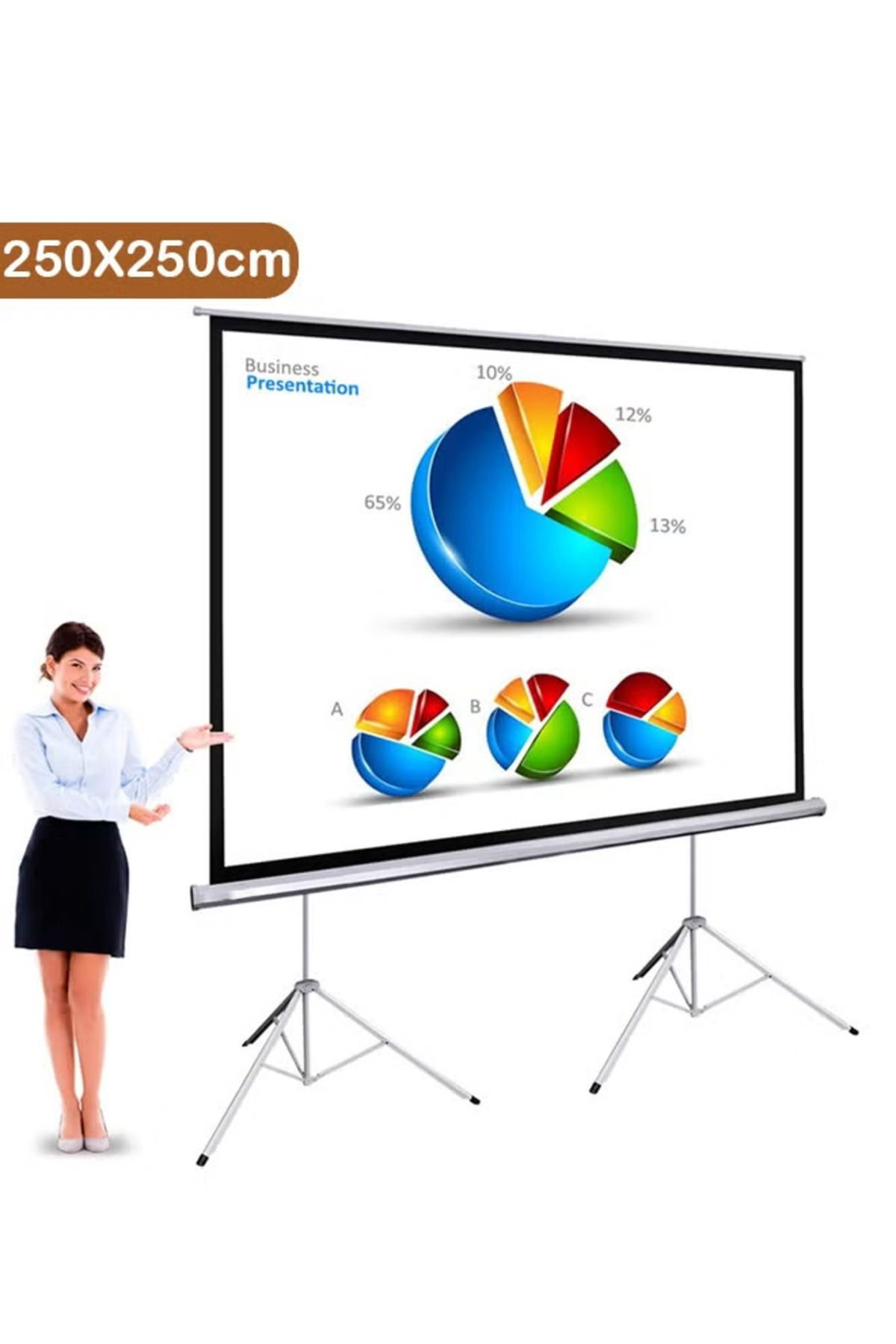 Taimi- Tripod Screen Projector with Dual Tripods - 250x250cm 1