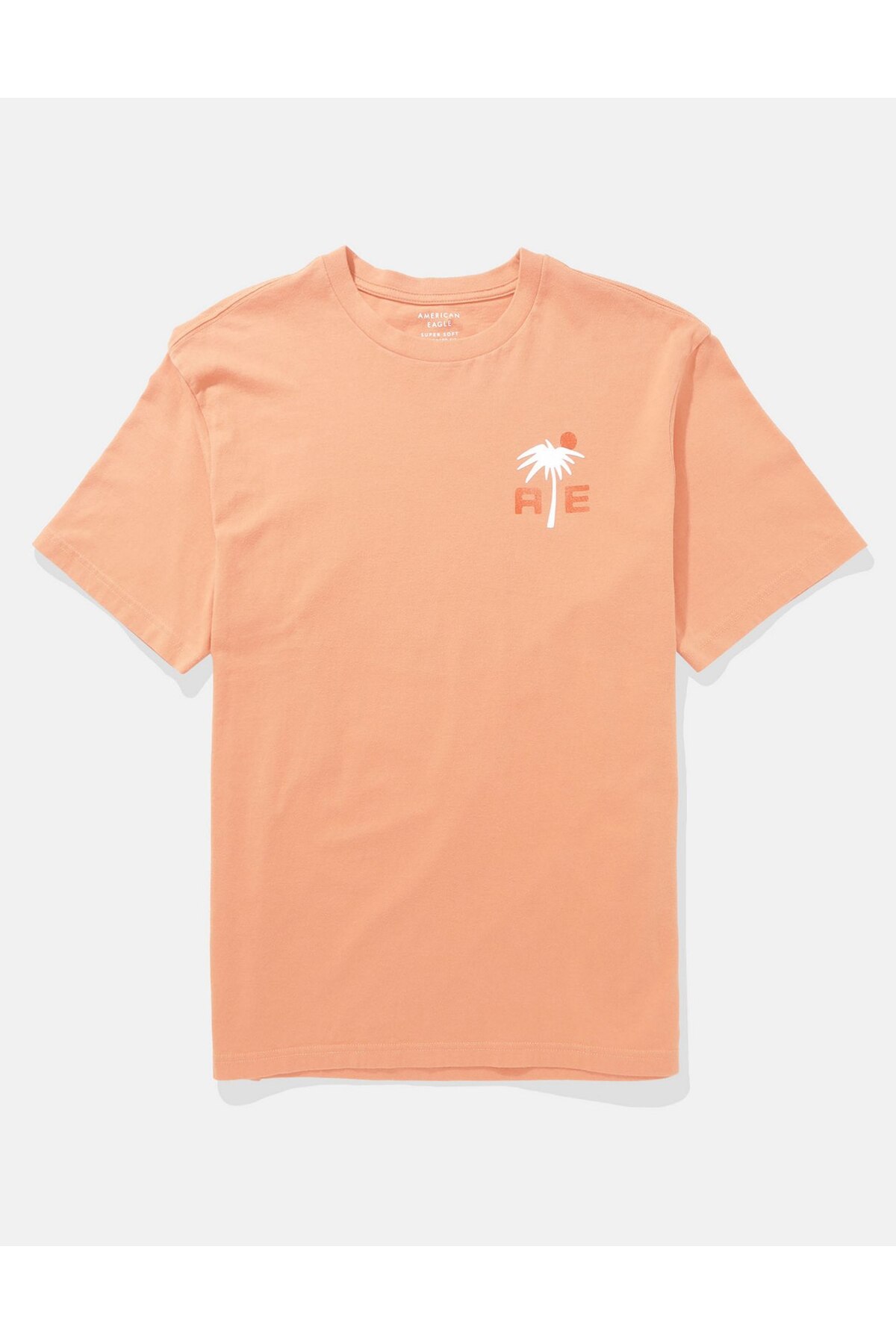 American Eagle AE Logo Graphic T-Shirt - Trendyol