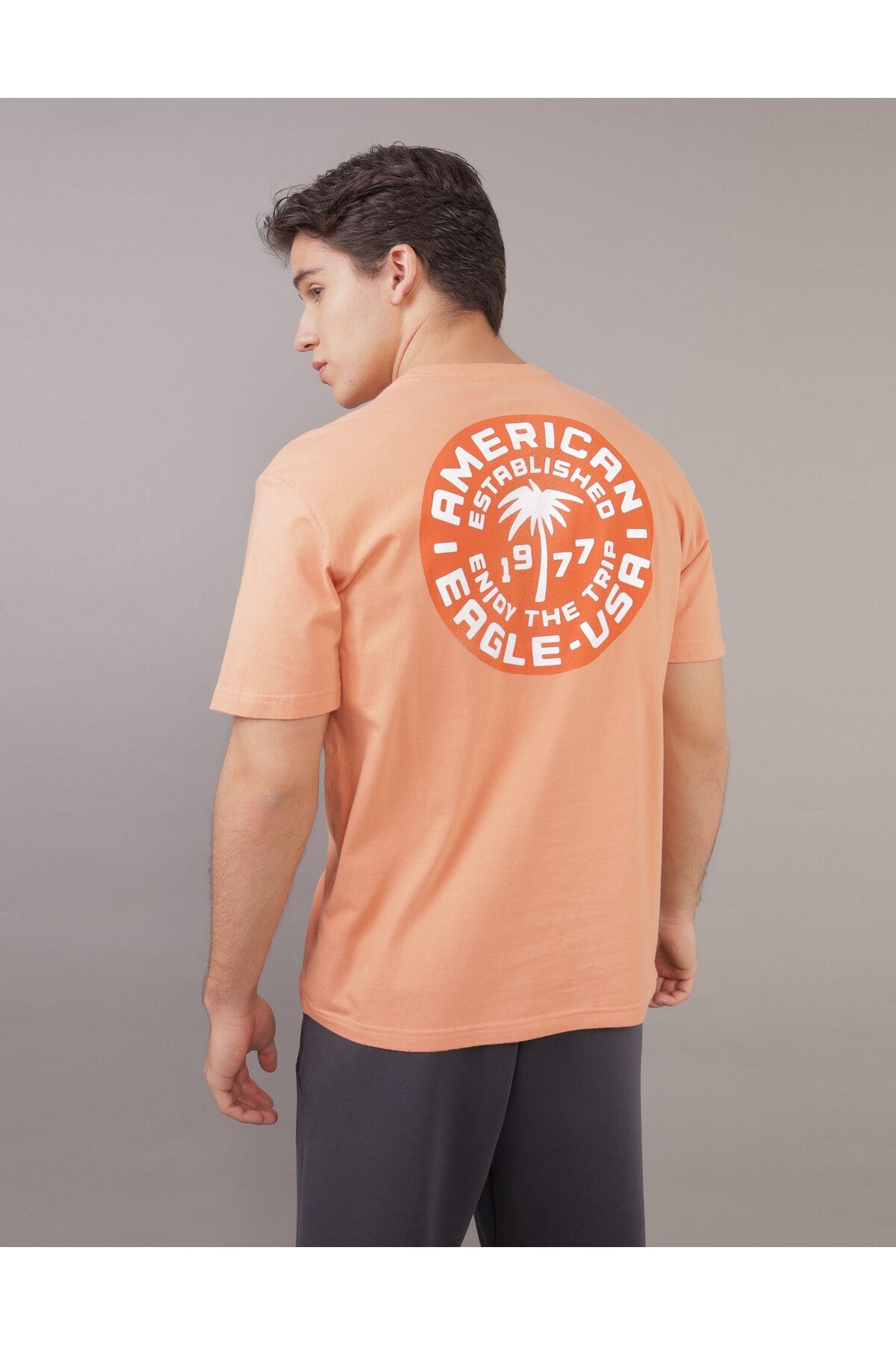 American Eagle AE Logo Graphic T-Shirt - Trendyol