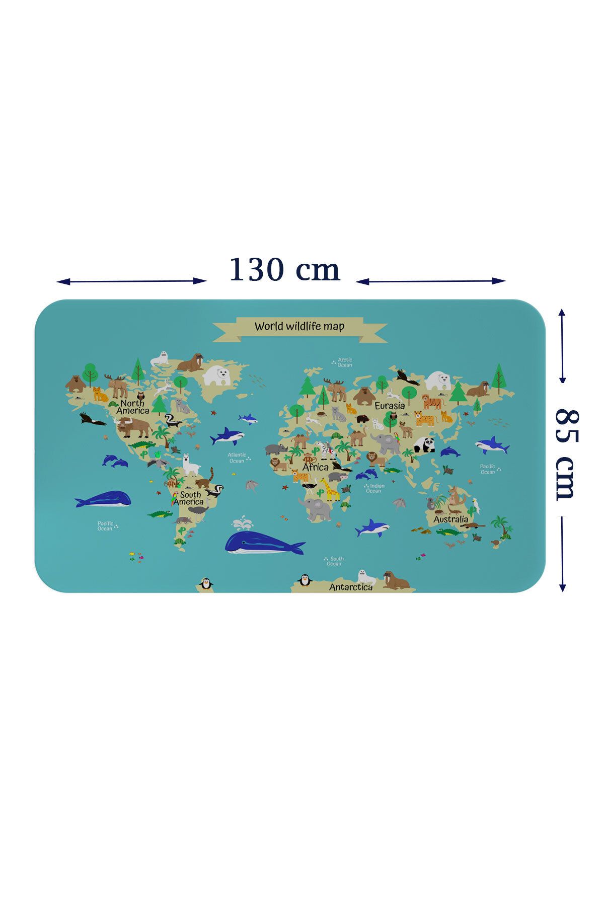 Haye Collection Eğitici Dünya Haritası Dünya Atlası Çocuk ve Bebek Odası Duvar Sticker-85x130-3829