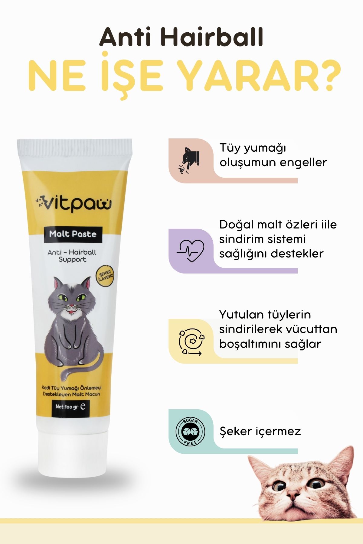 Günlük Kullanım Seti (B COMPLEX DAMLA & MALT PASTE) - 3
