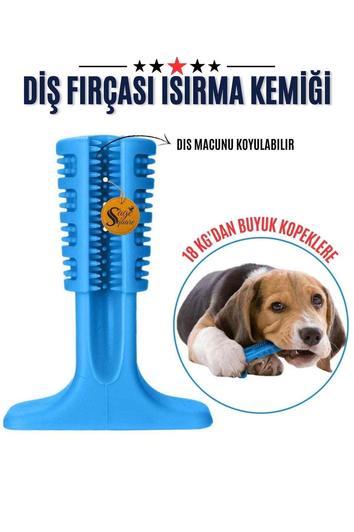 Takaz Global Diş Fırçası Isırma Kemiği 18 KG+ Macun Hazneli