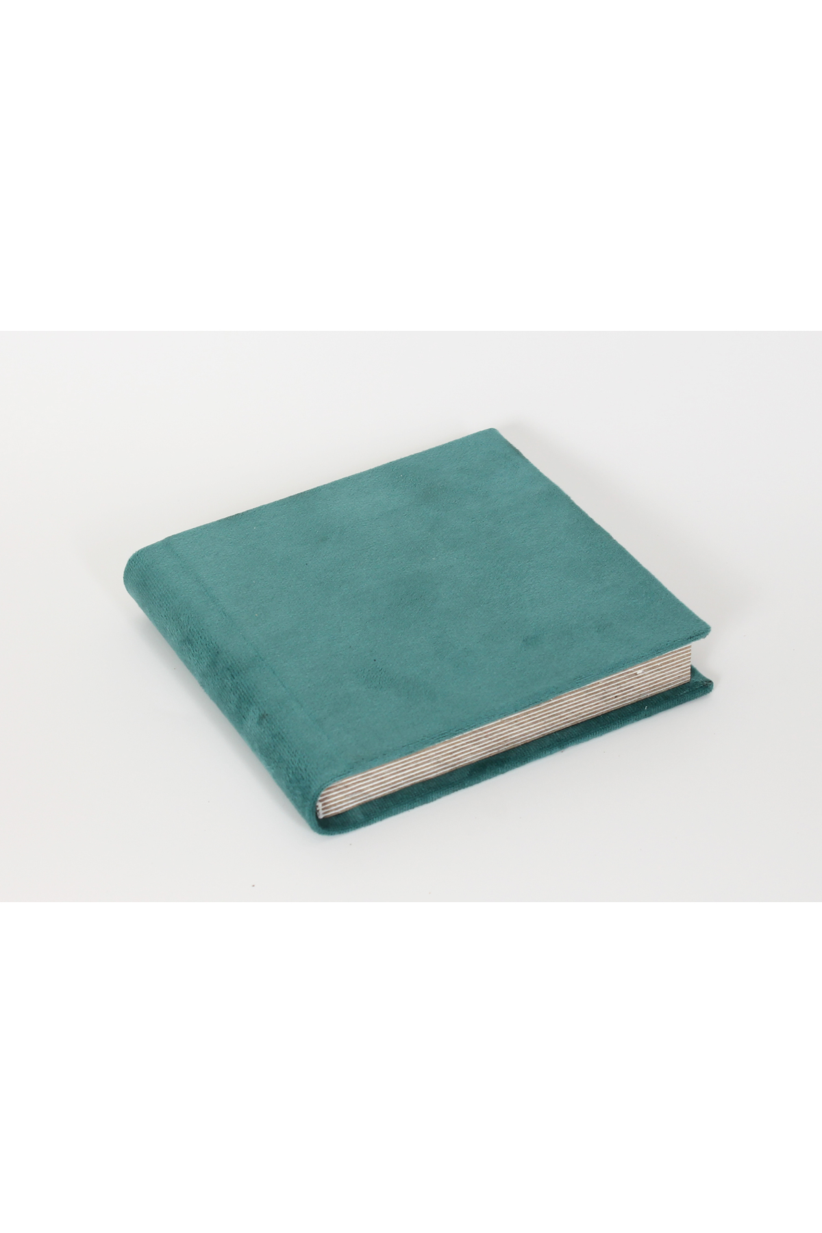 ConceptinEla BEBEK ALBÜMÜ, CEP ALBÜMÜ, POLO ALBÜM fotoğrafı 2 (önizleme)