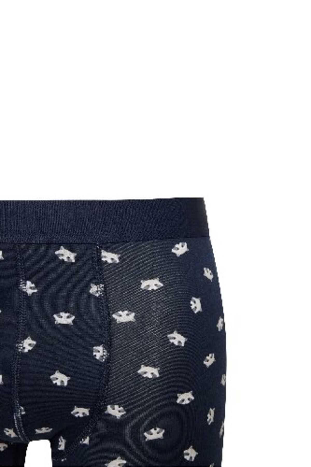 DeFacto-Animal Printed 3-Piece Boxer E0047Ax24Cw 4