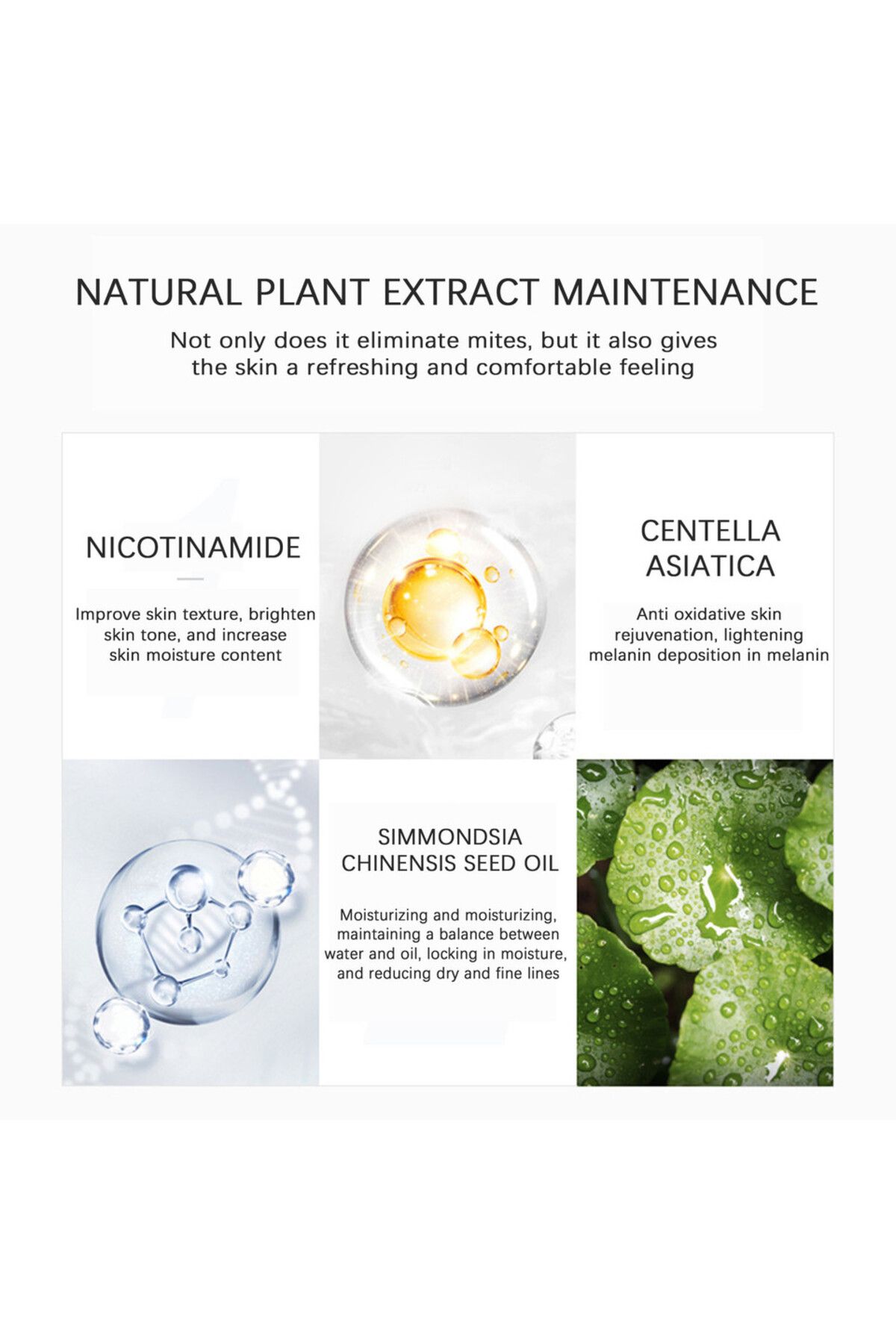 Choice-100g Mory Gulong Perfume Soap Refreshing Oil Control Handmade Soap Moisturizing Acari Removing Soap 6