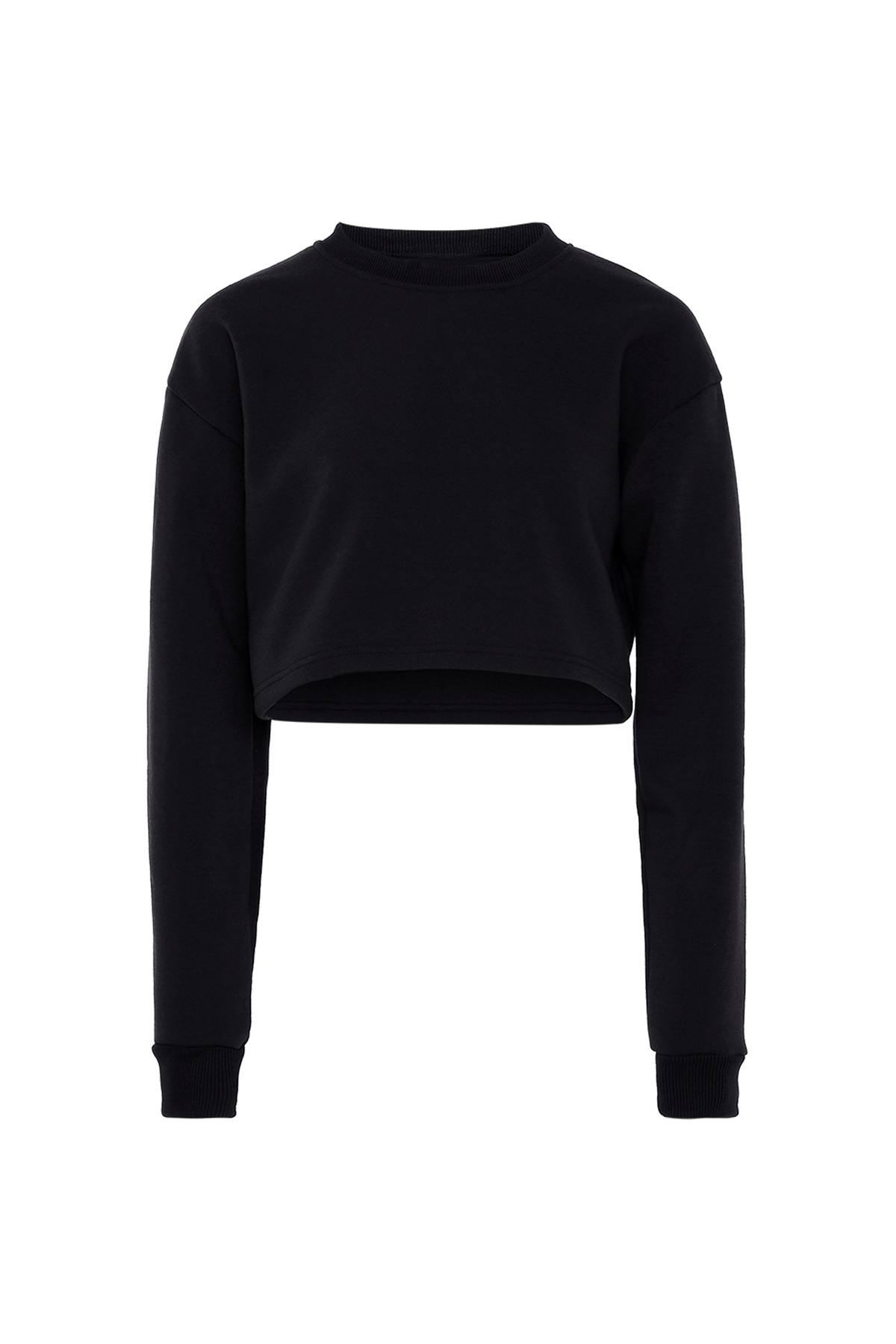 EXIDE-Sweatshirt 1