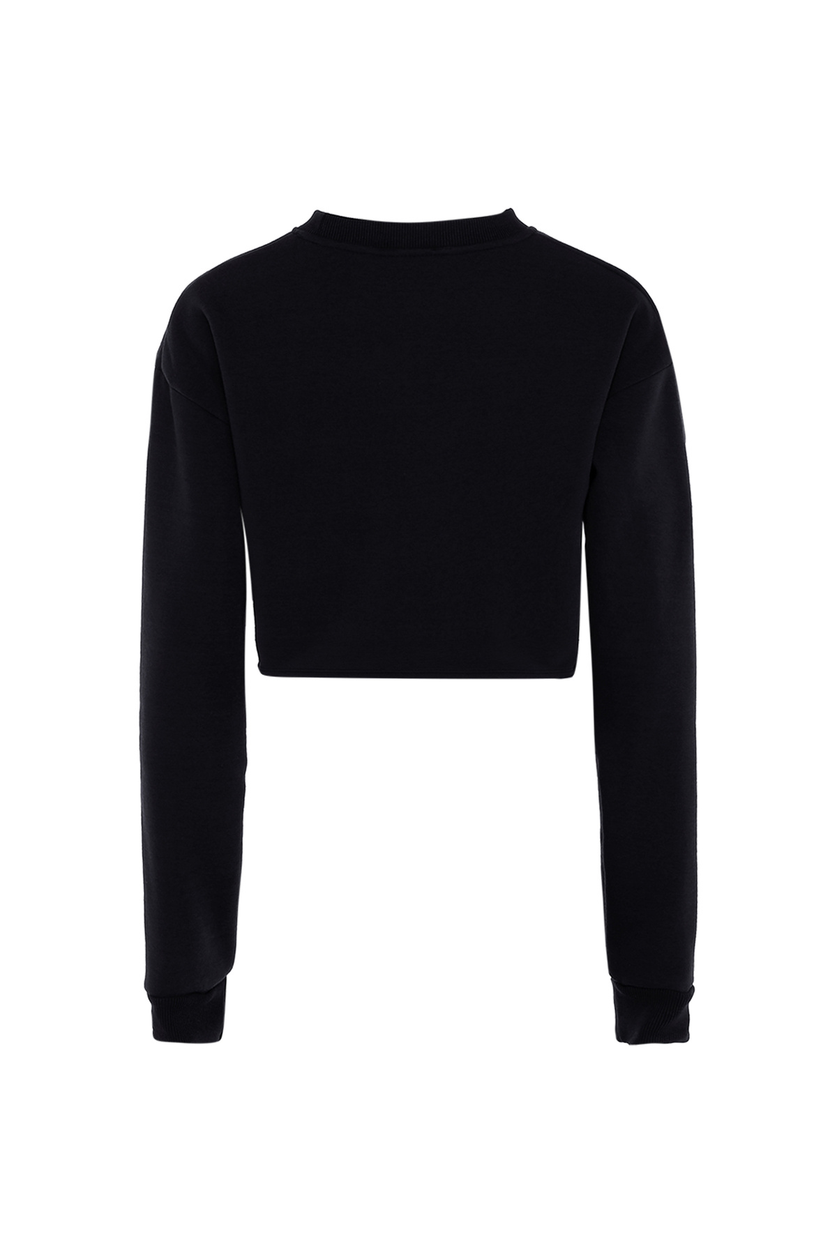 EXIDE-Sweatshirt 2