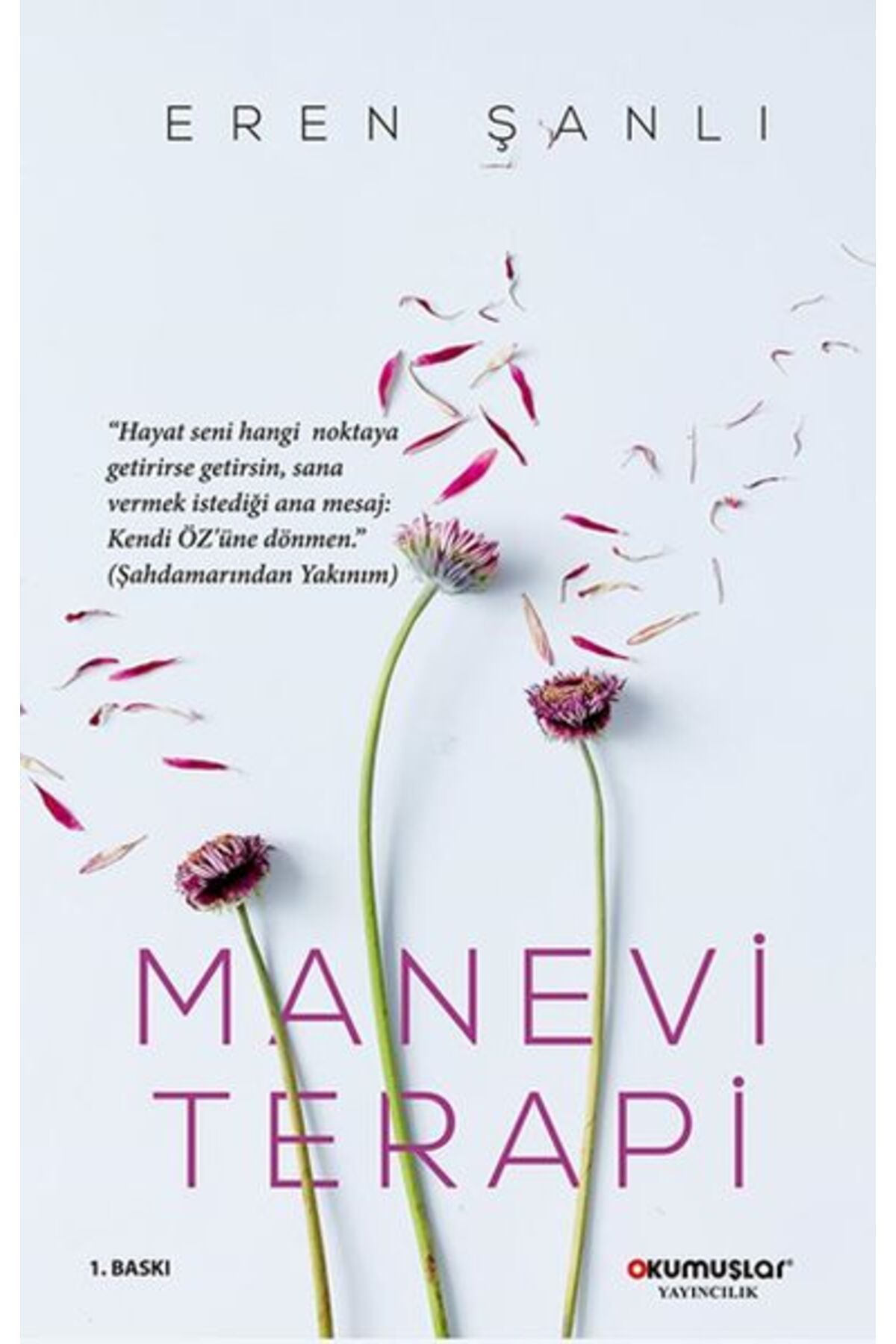 Okumuşlar Yayıncılık Manevi Terapi