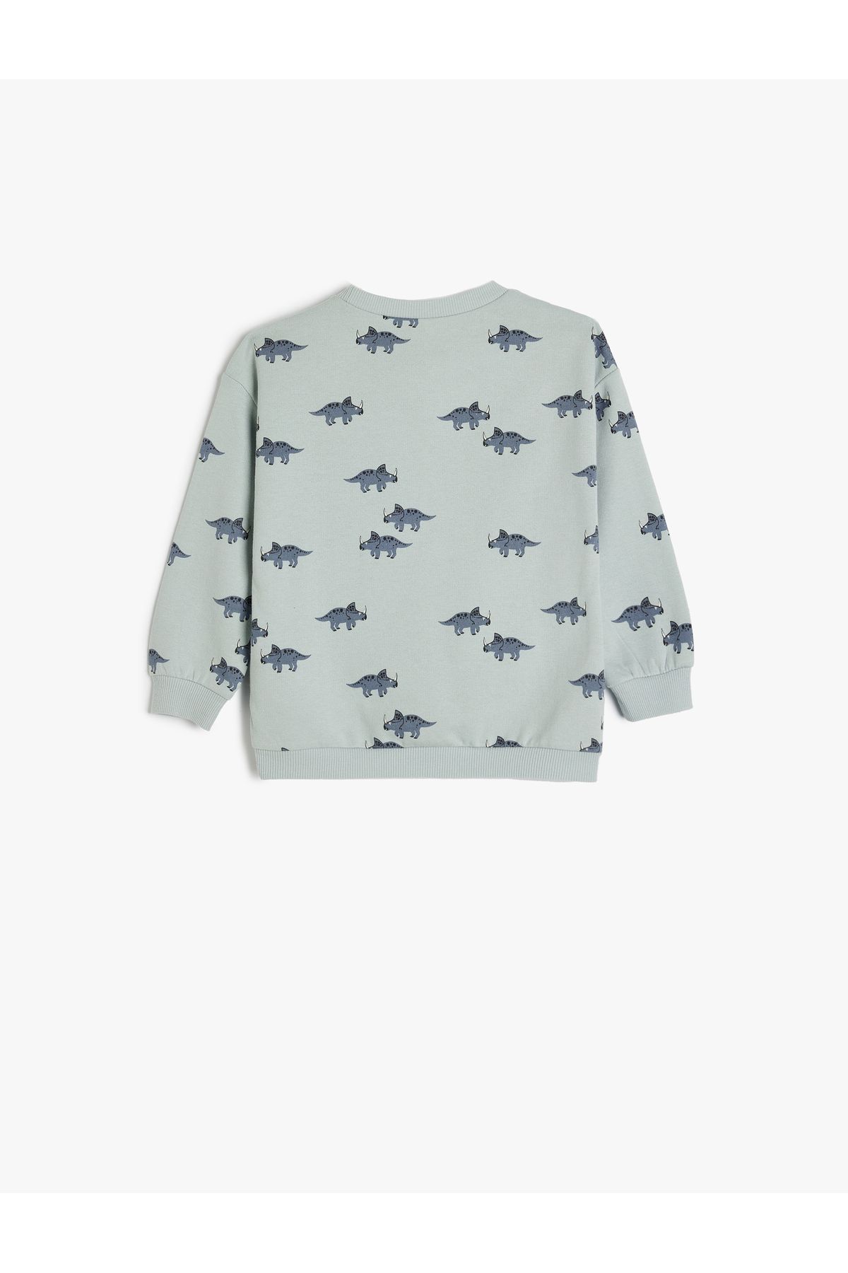 Koton-Dinosaur Printed Crew Neck Cotton Raised Sweatshirt 2