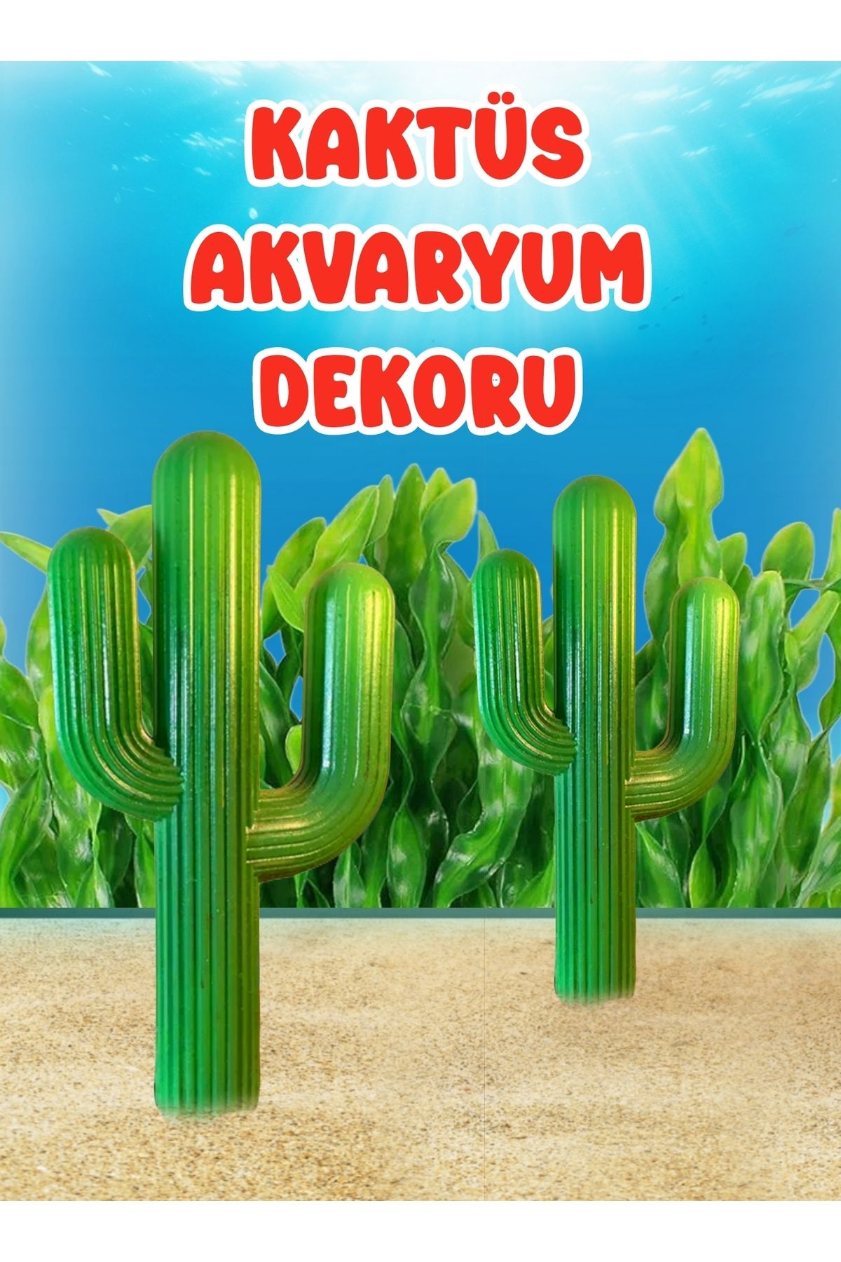 Akvaryum Kaktüs