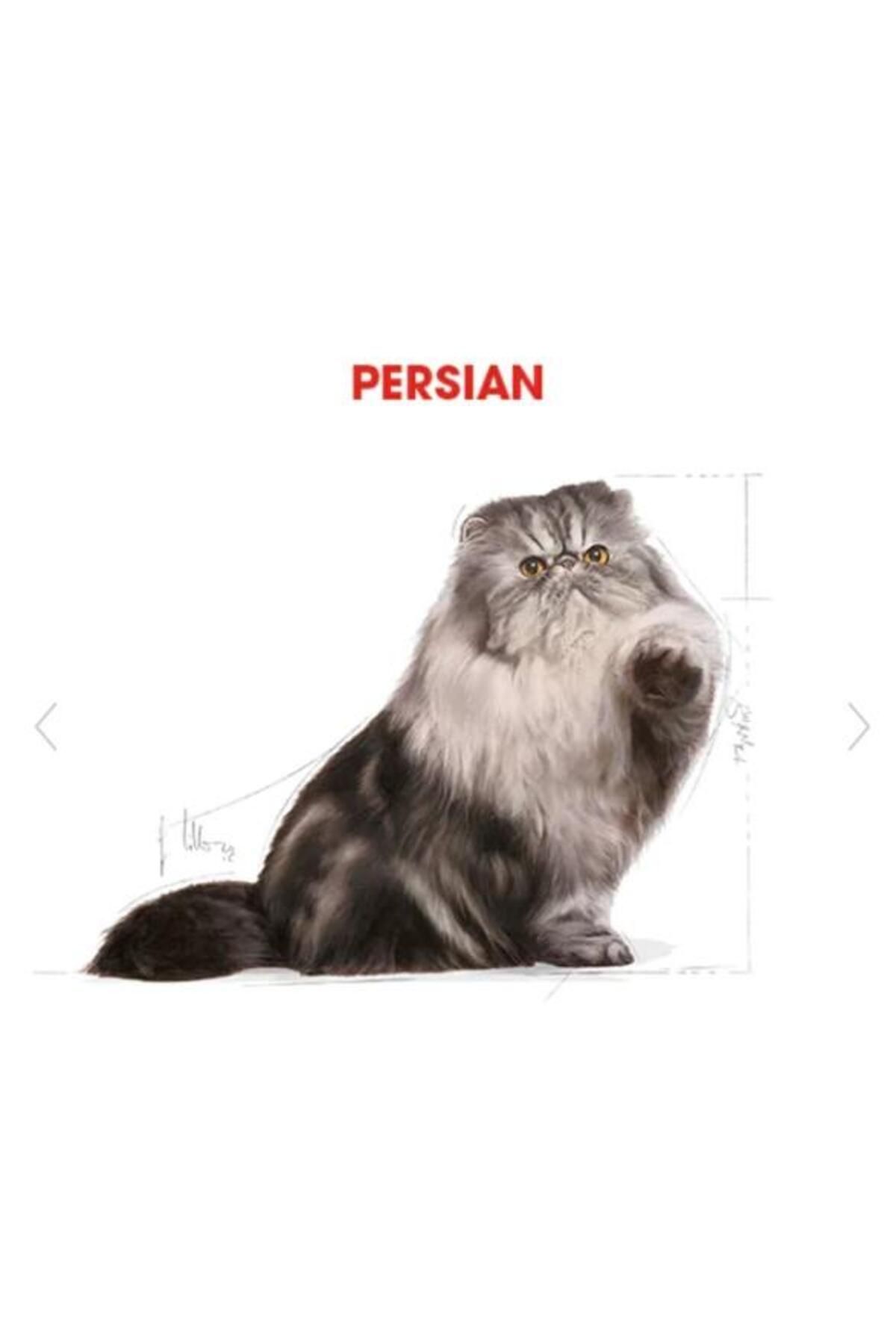 Royal Canin-Adult Cat Food for Persian Cat 10kg 3