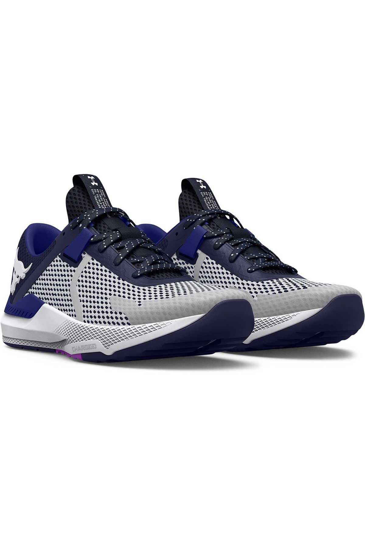 Under Armour-Sneakers Under Armour Project Rock, Γκρι, Unisex 3