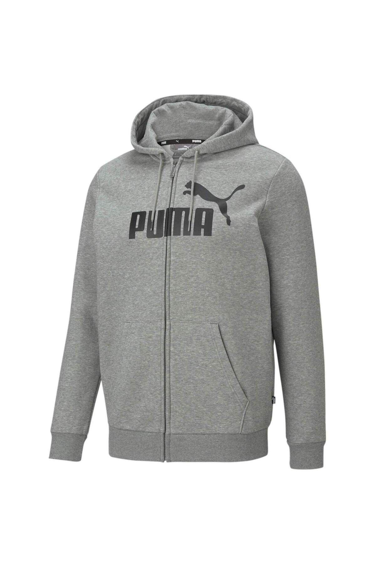 Puma-Hood Puma Essentials Big Logo, Γκρι, Ανδρικό 4