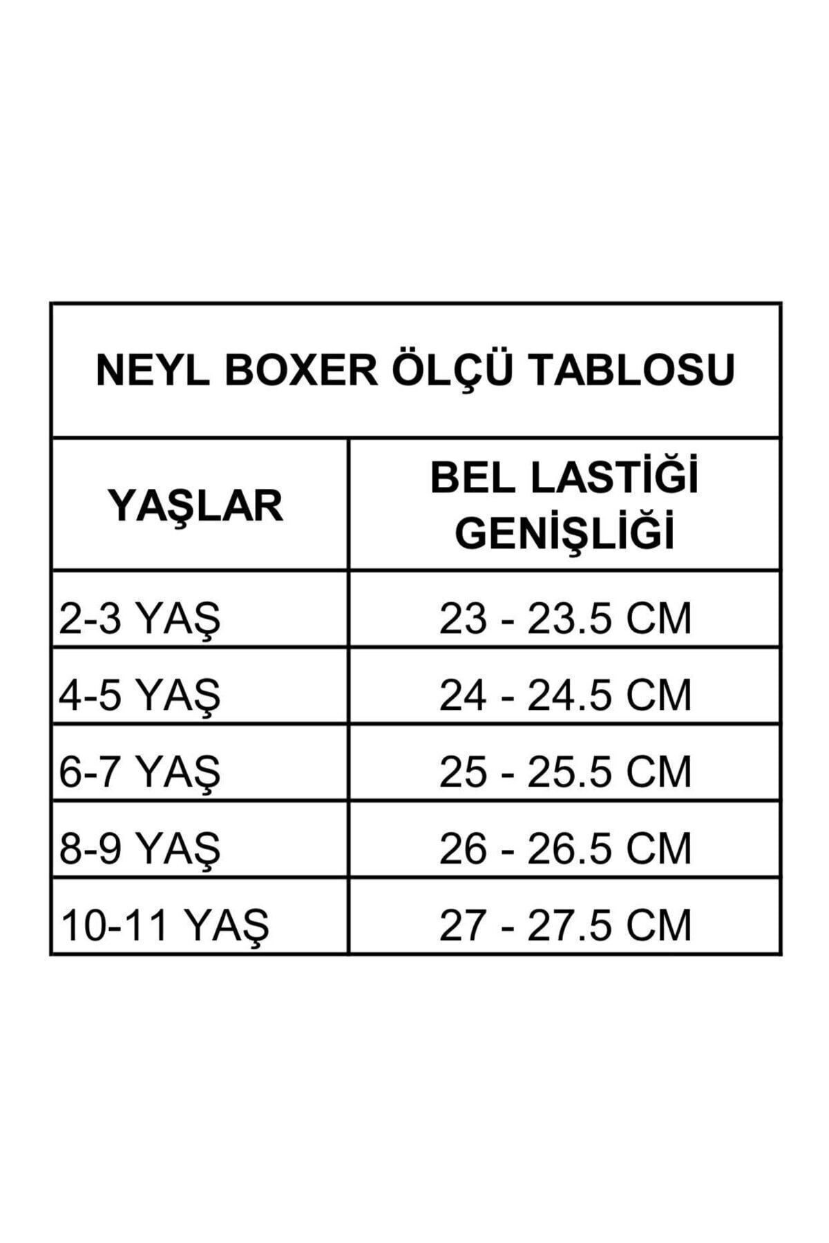 NEYL Erkek Çocuk Desenli Boxer 5'li fotoğrafı 4 (önizleme)