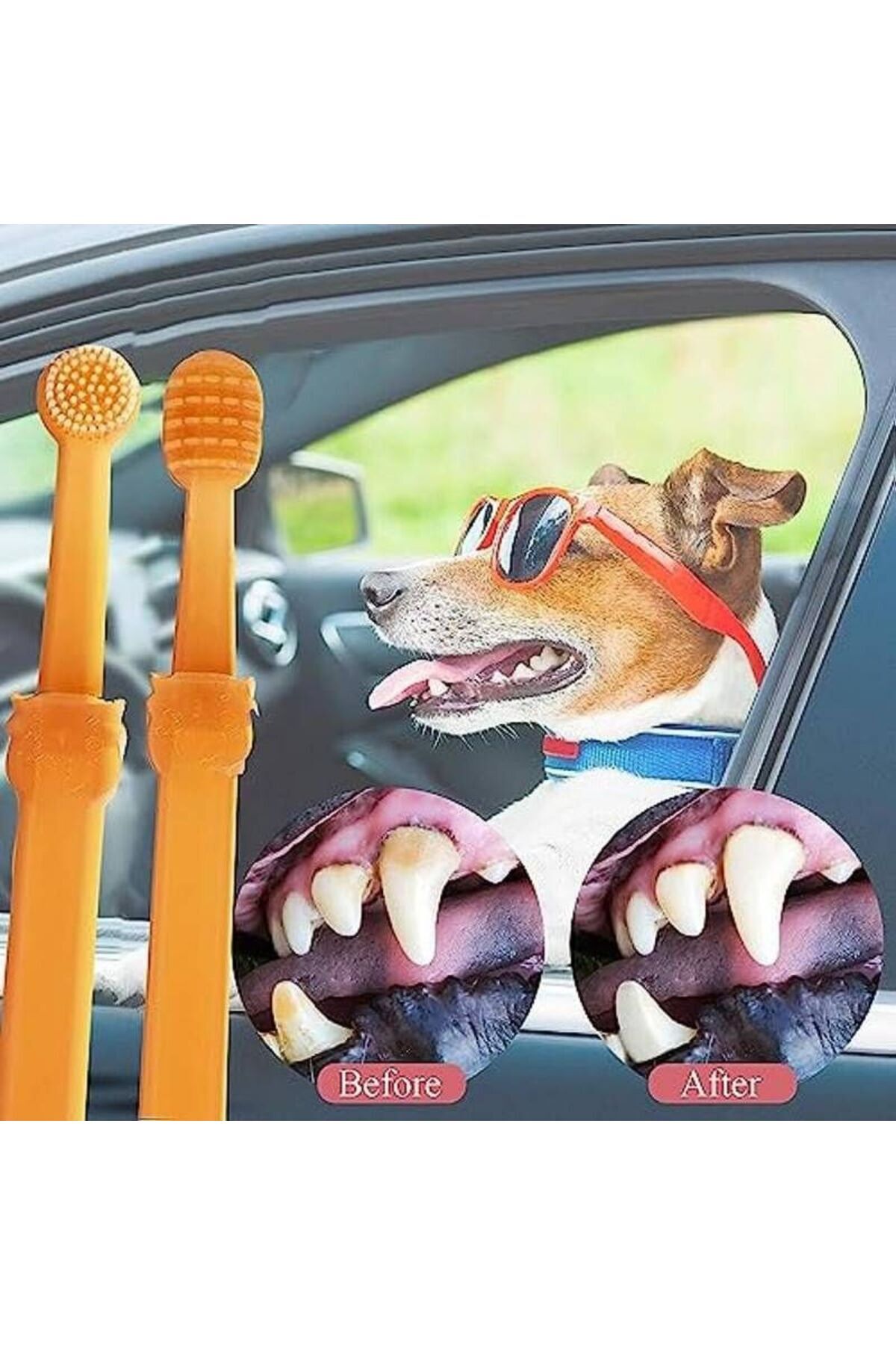Exelox Kedi/köpek Silikon Diş Fırçası