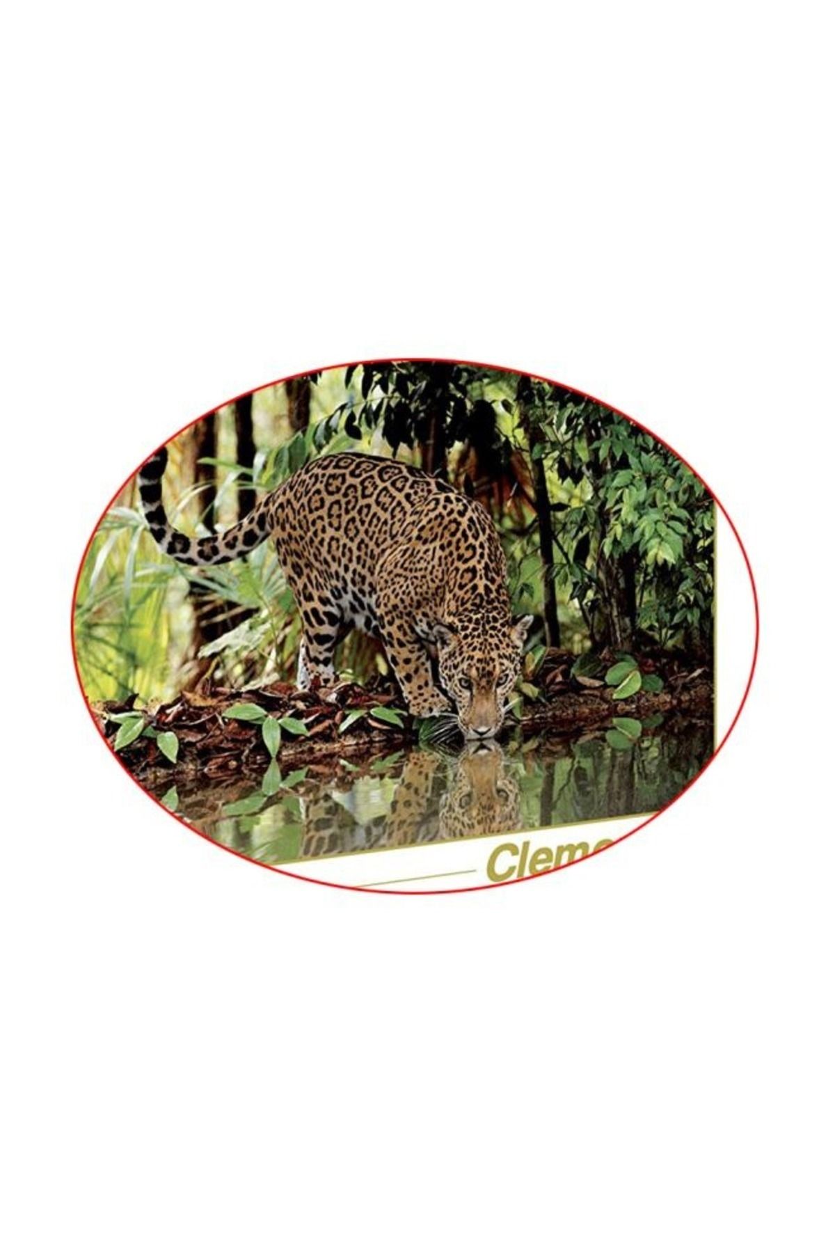 CLEMENTONI- 2000-Piece Leopard Puzzles 3