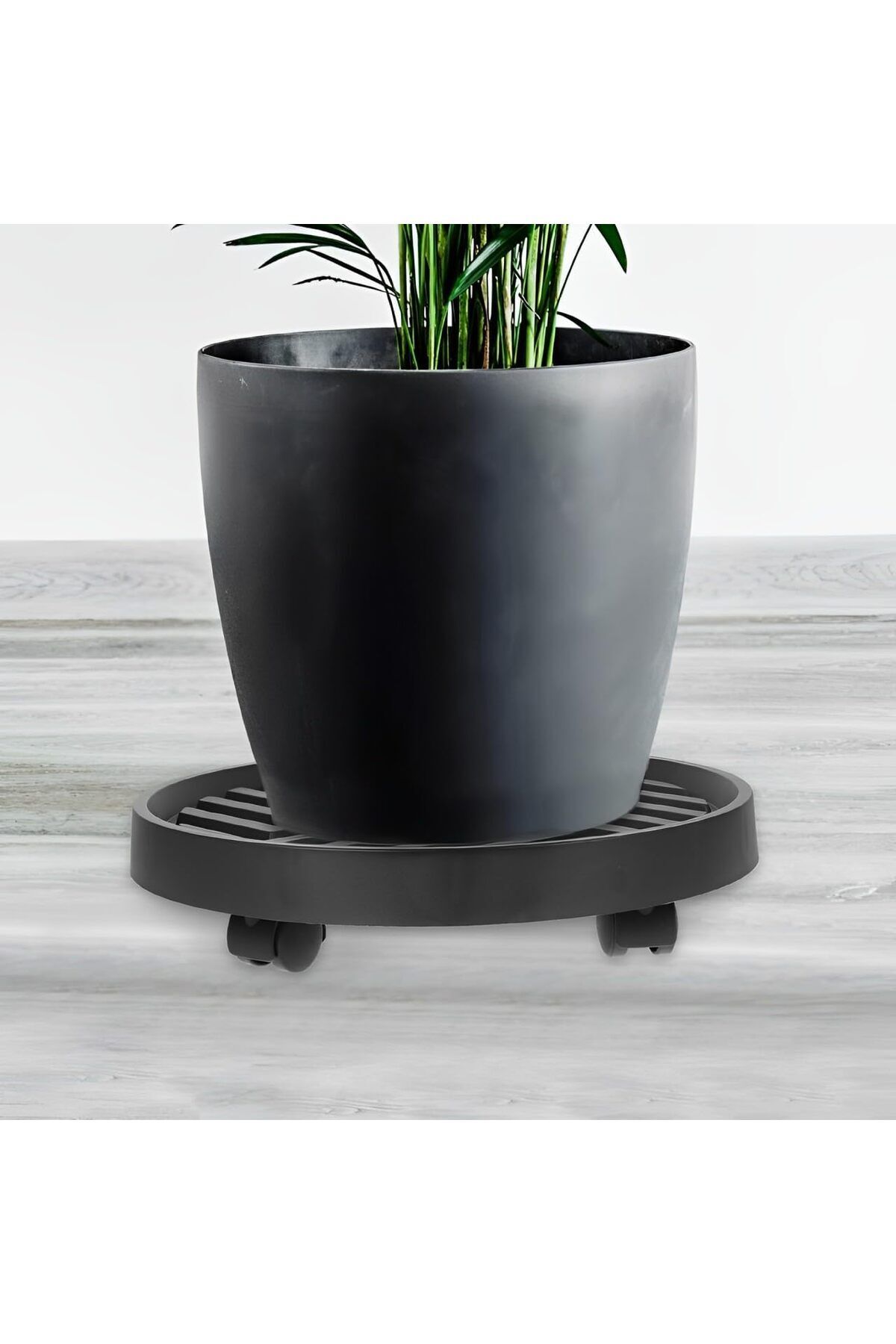 Taimi-Rolling Planter Holder with Wheels-Durable and Versatile Plant Stand Trolley-Grey-30CM 3