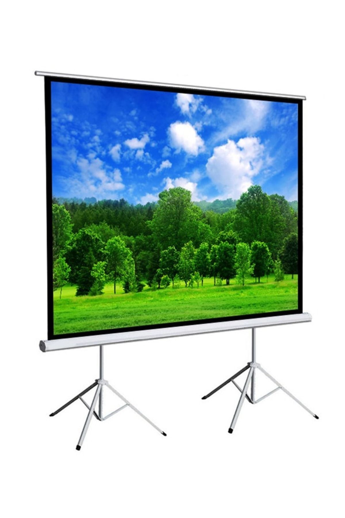 Taimi- Tripod Screen Projector with Dual Tripods - 250x250cm 5