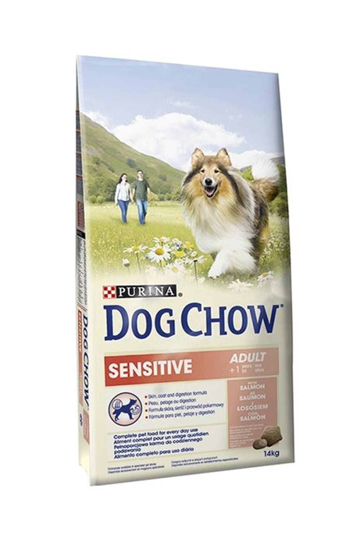 Dog Chow Purina Dog Chow Sensitive Somonlu Yetişkin Köpek Maması 14 Kg