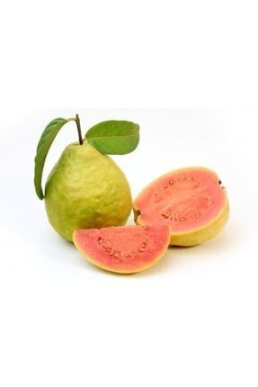 Pineapple Guava Meyvesi Tohumu 10 Adet (feijoa / Kaymak Ağacı Meyvesi) TLQ001008