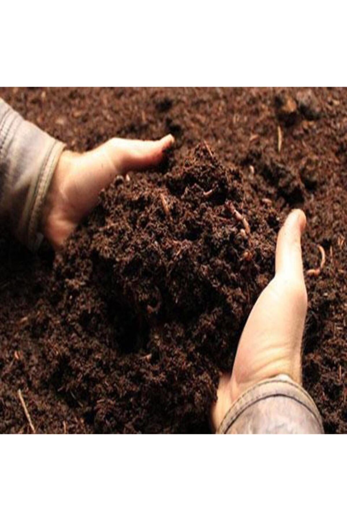 250 Gr Gül Sarmaşık Difenbahya Menekşe Için Kök Güçlendirici içeren kompozit gübre