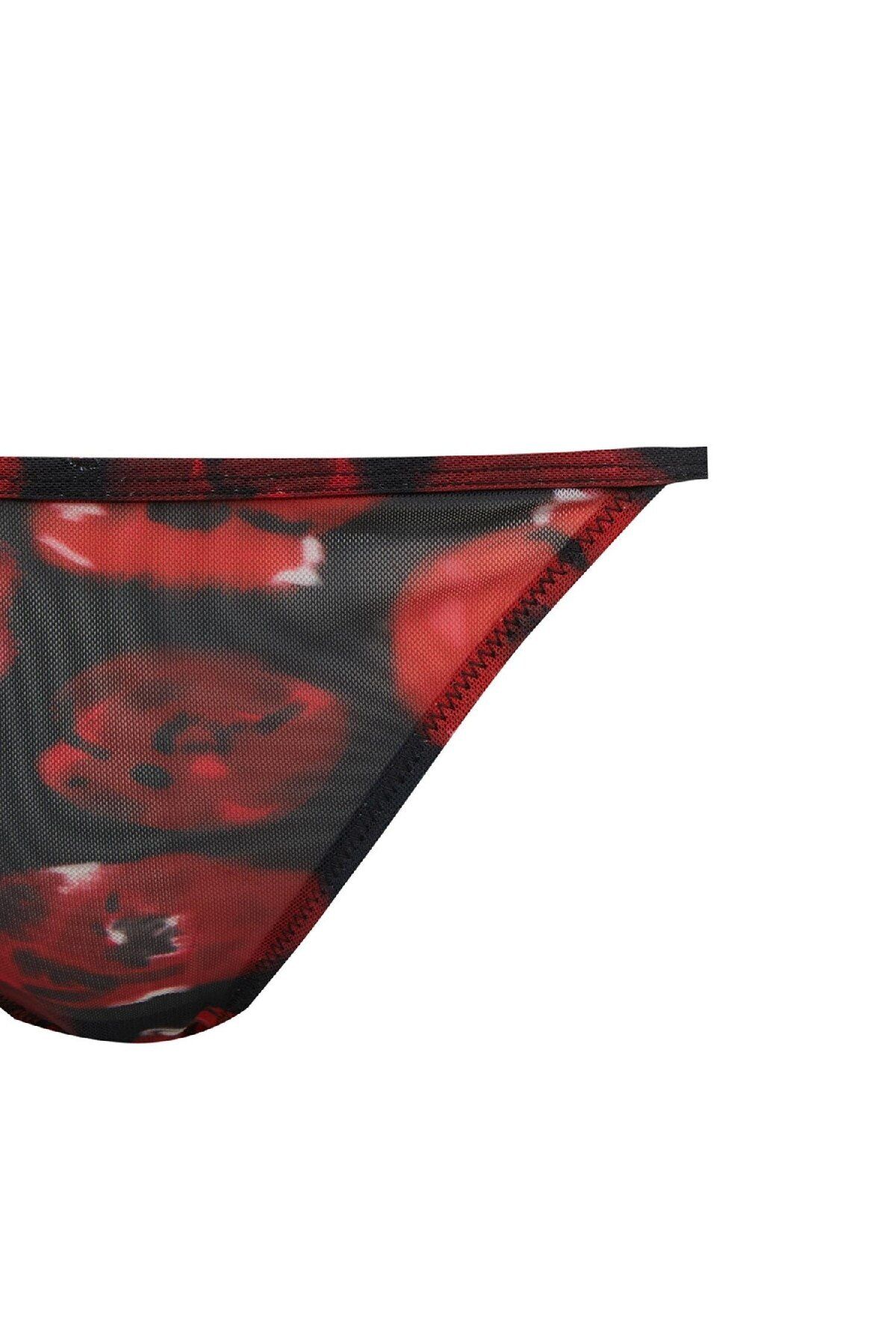 DeFacto-Fall in Love Christmas Themed Tulle Slip Panties D5603Ax24Au 3