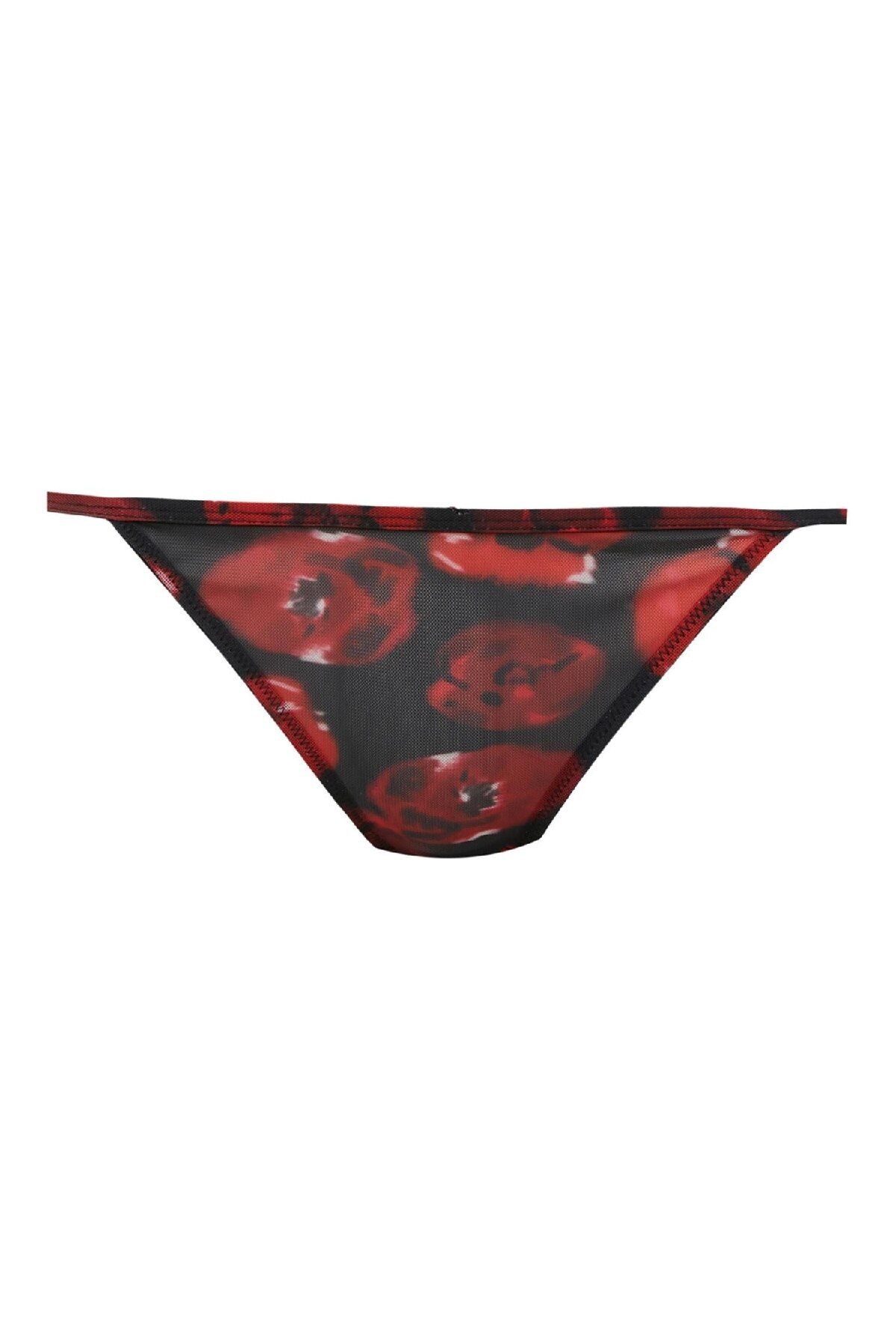 DeFacto-Fall in Love Christmas Themed Tulle Slip Panties D5603Ax24Au 1