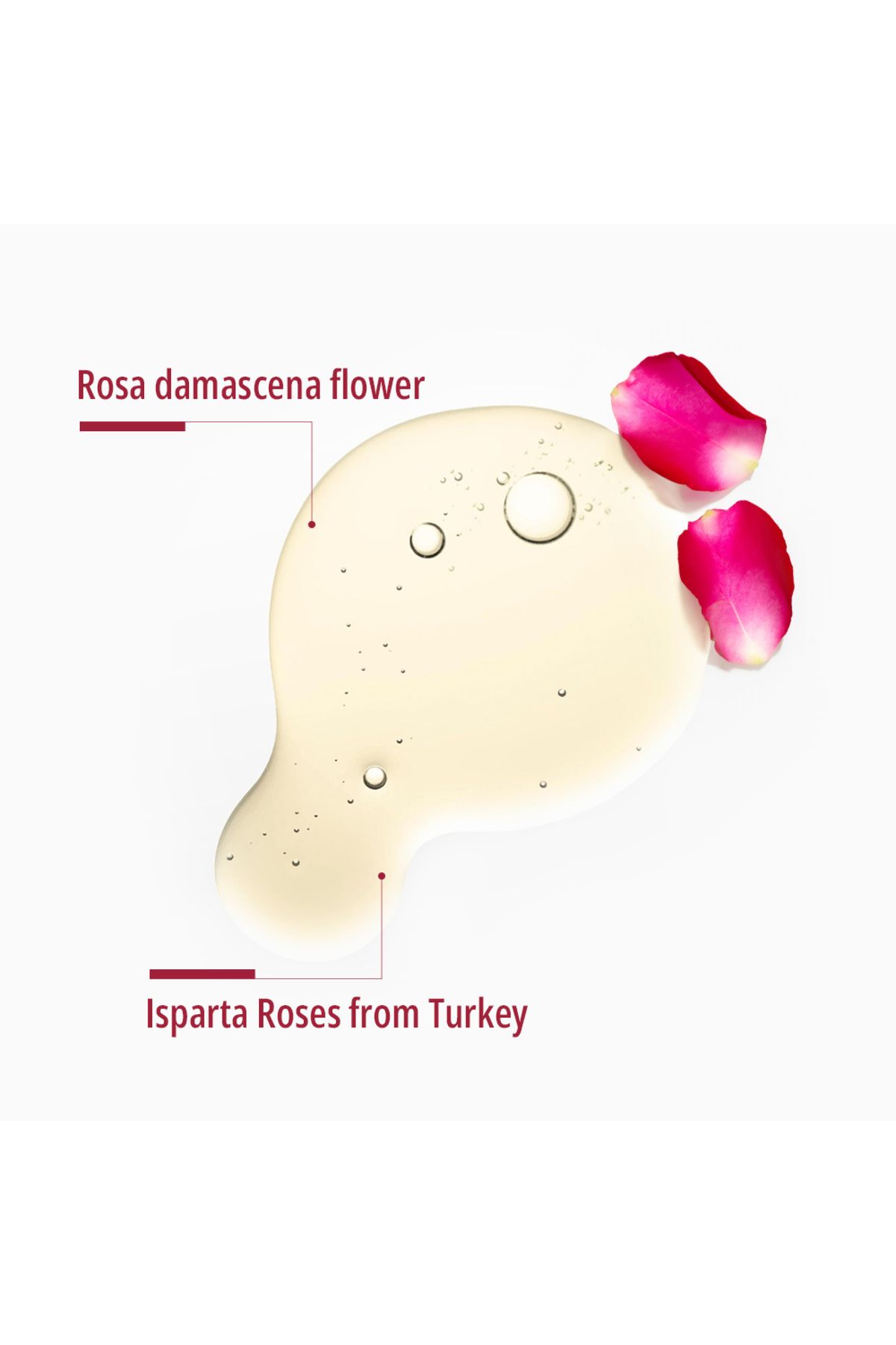 Dermoten-Rosenöl Therapeutische Hautpflege, reines ätherisches Öl für Aromatherapie und Massage, beruhigend, H 3