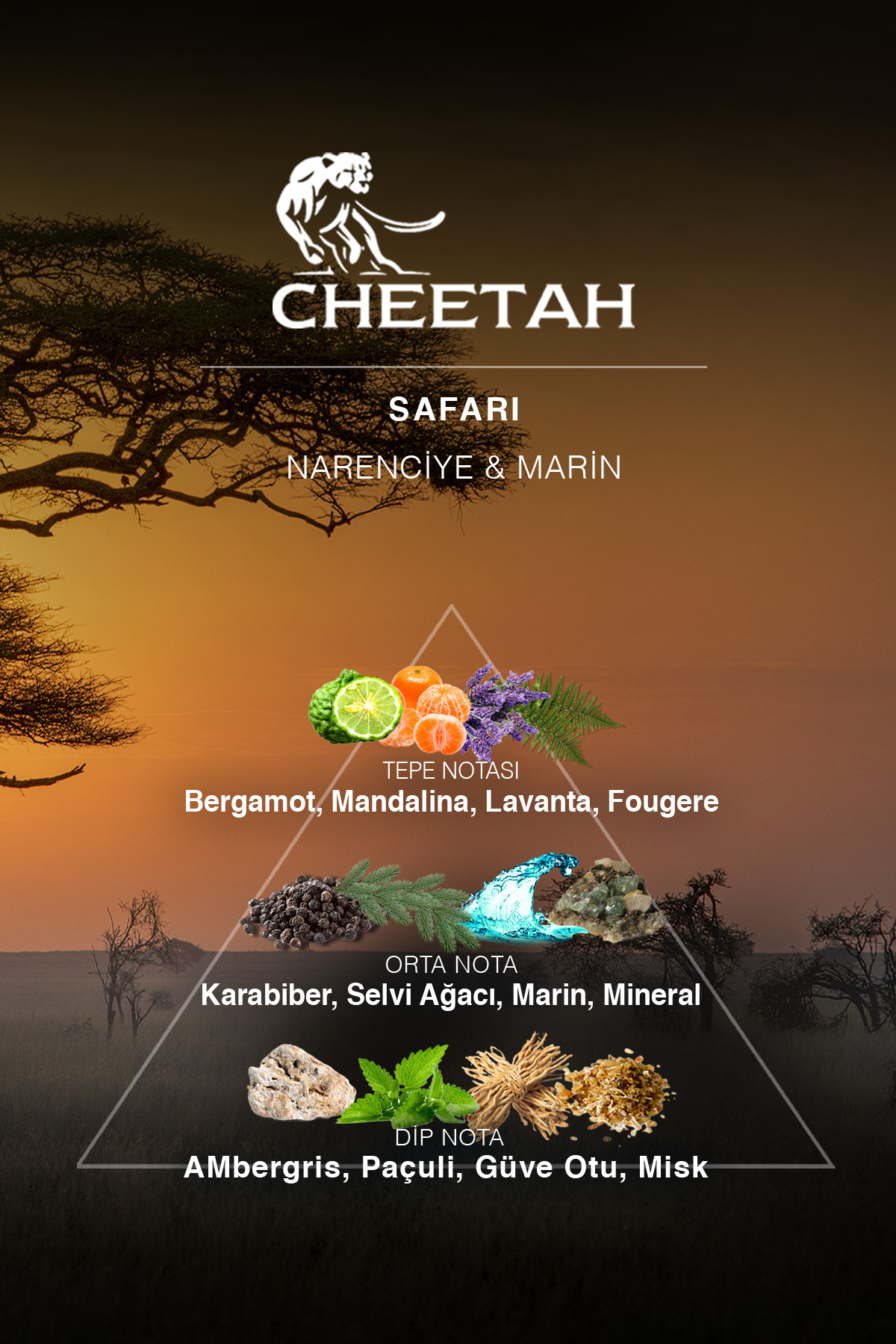 Safari Parfüm & Deodorant & Tıraş Köpüğü — CS8696601115780 — تصویر 8 از 8
