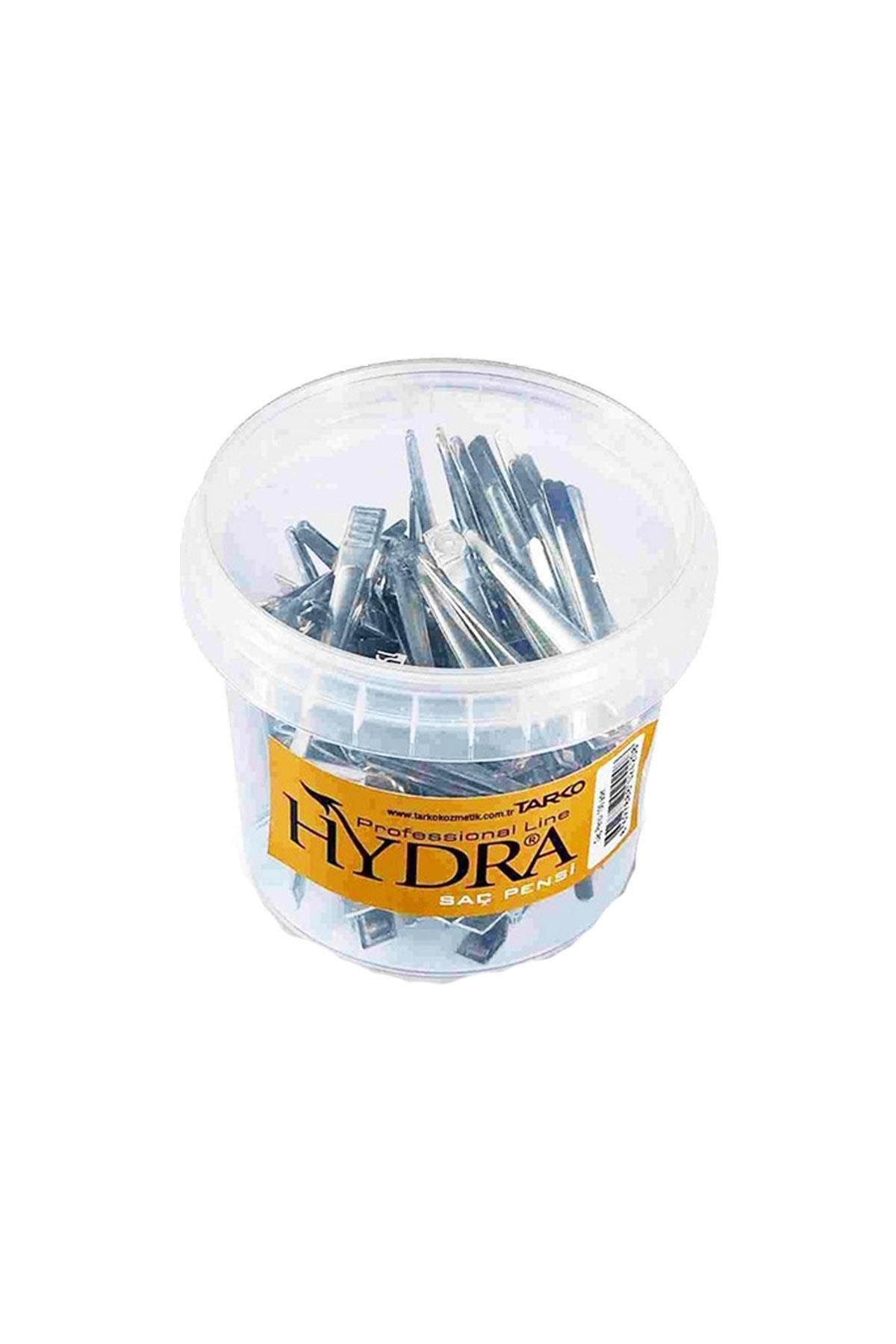Hydra-100 Pieces Hair Pliers 1