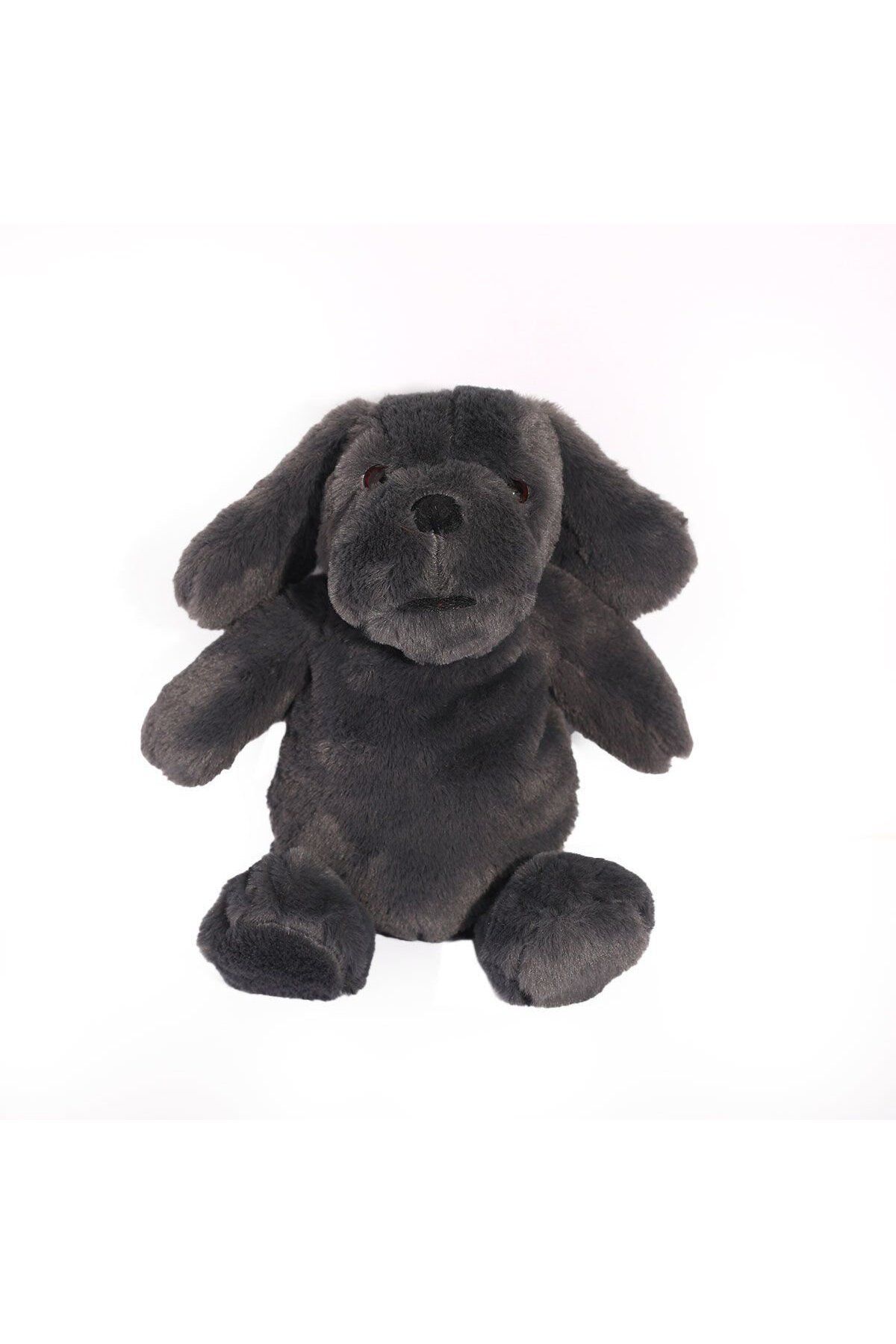 EMY GRUP-86101 30 cm Casual Plush Dog - Emy Group 1