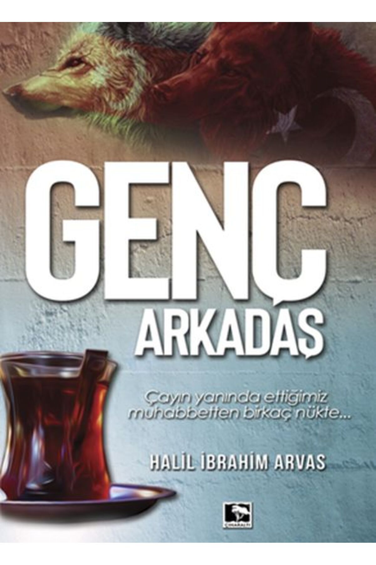 Çınaraltı Yayınları Genç Arkadaş
