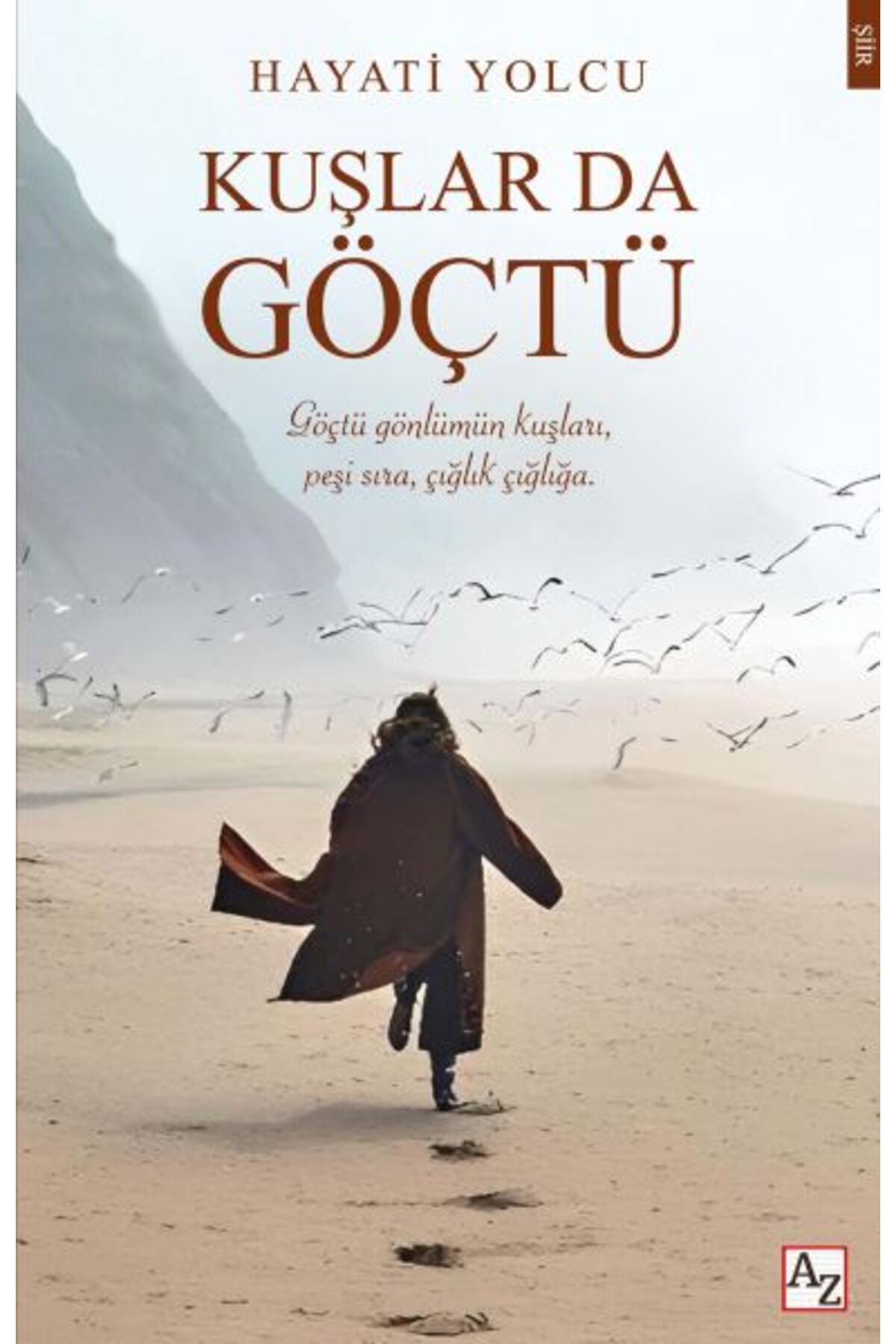 Az Kitap Kuşlar da Göçtü