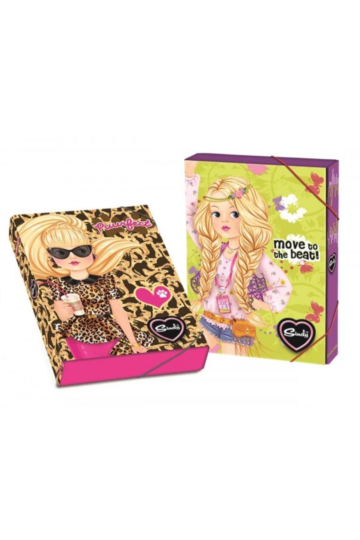 Easy Tedarik Keskin Color Sindy Kutu Dosya