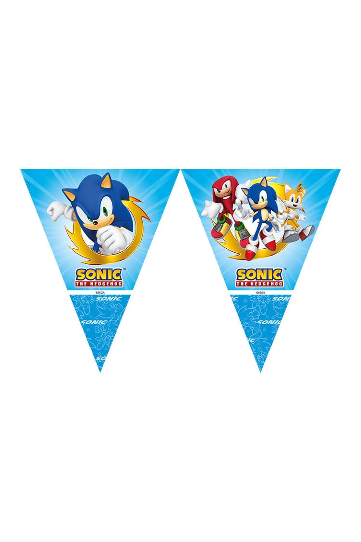 HZS SONIC LİSANSLI BAYRAK SET (2,90m)