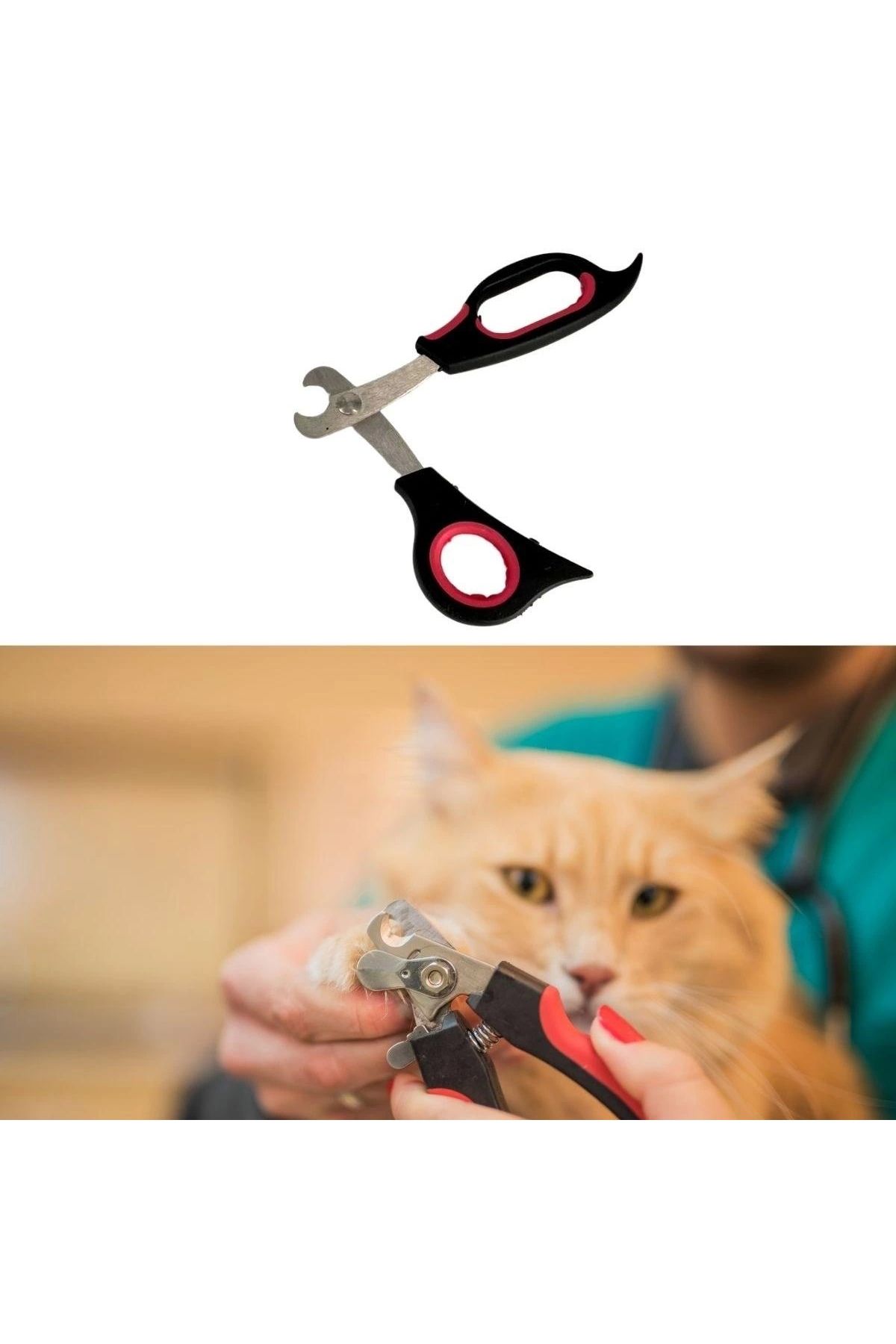 UGA İthalat-Large Size Pet Dog Cat Steel Tip Nail Clipper Paw Care Tool 3