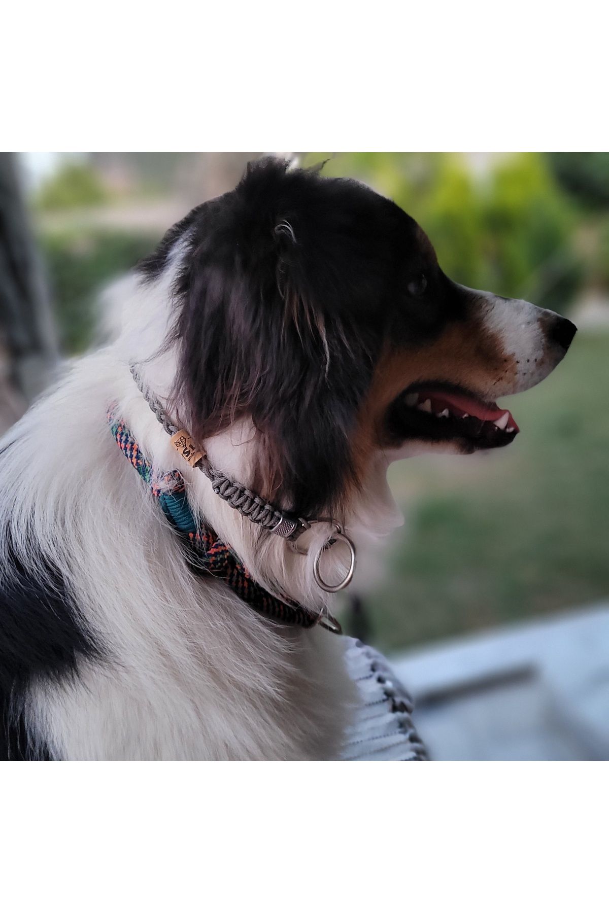 VSLT HANDMADE-Dog Training Collar - Dog Training Collar 5