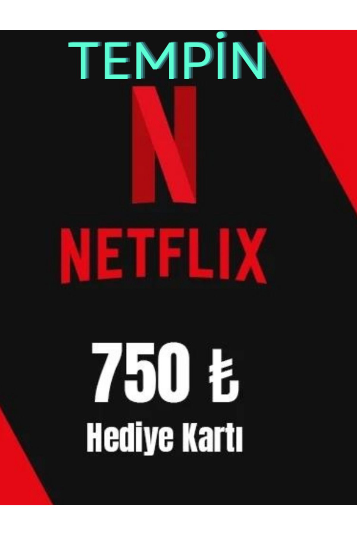 TEMPİN NETFLİX HEDİYE KARTI 750 TL