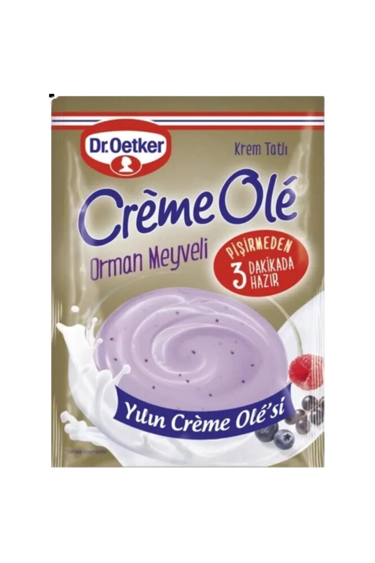 Dr. Oetker Creme Orman Meyveli 110 G