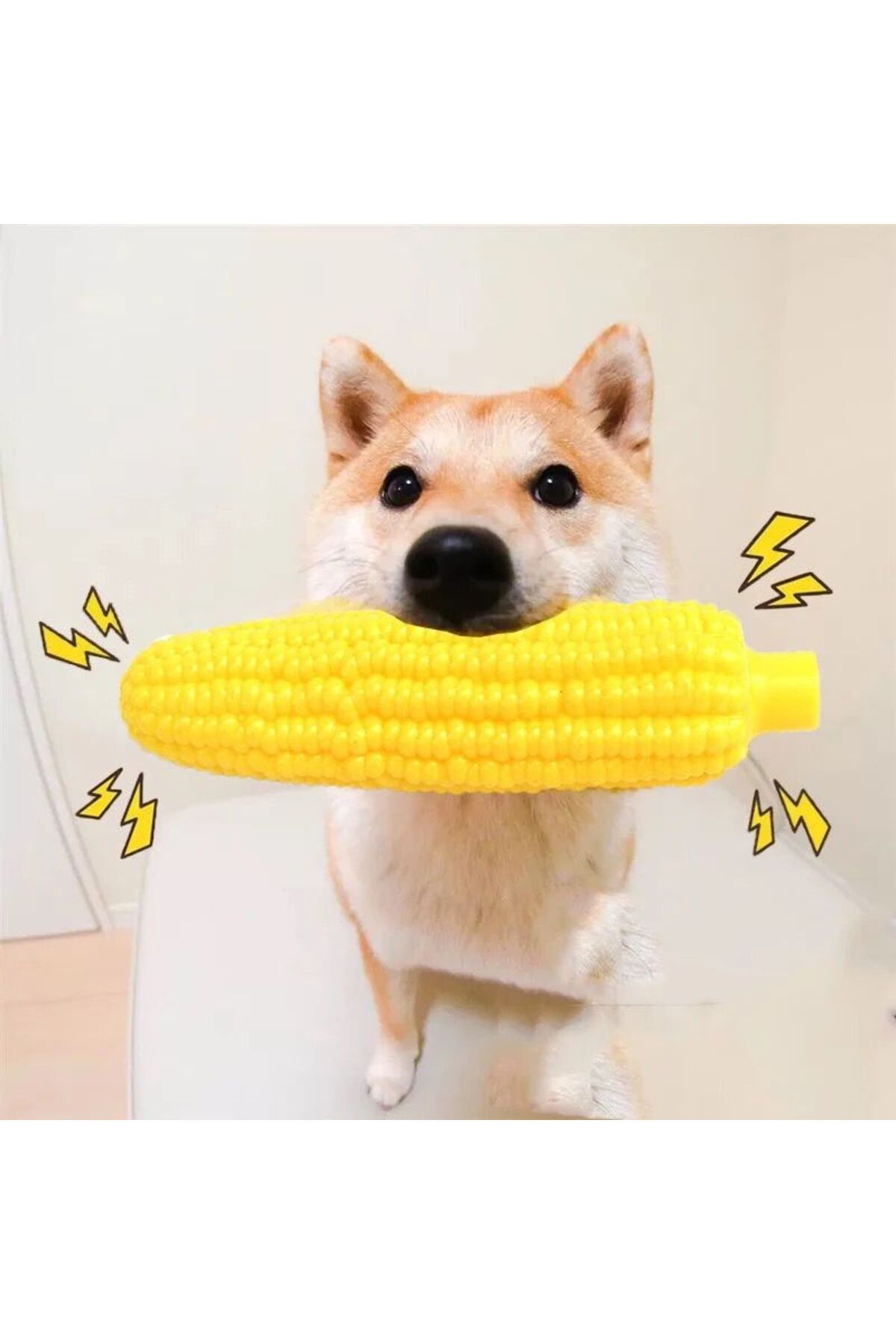 MadPet-Pet Sound Corn Model Biting Toy 4