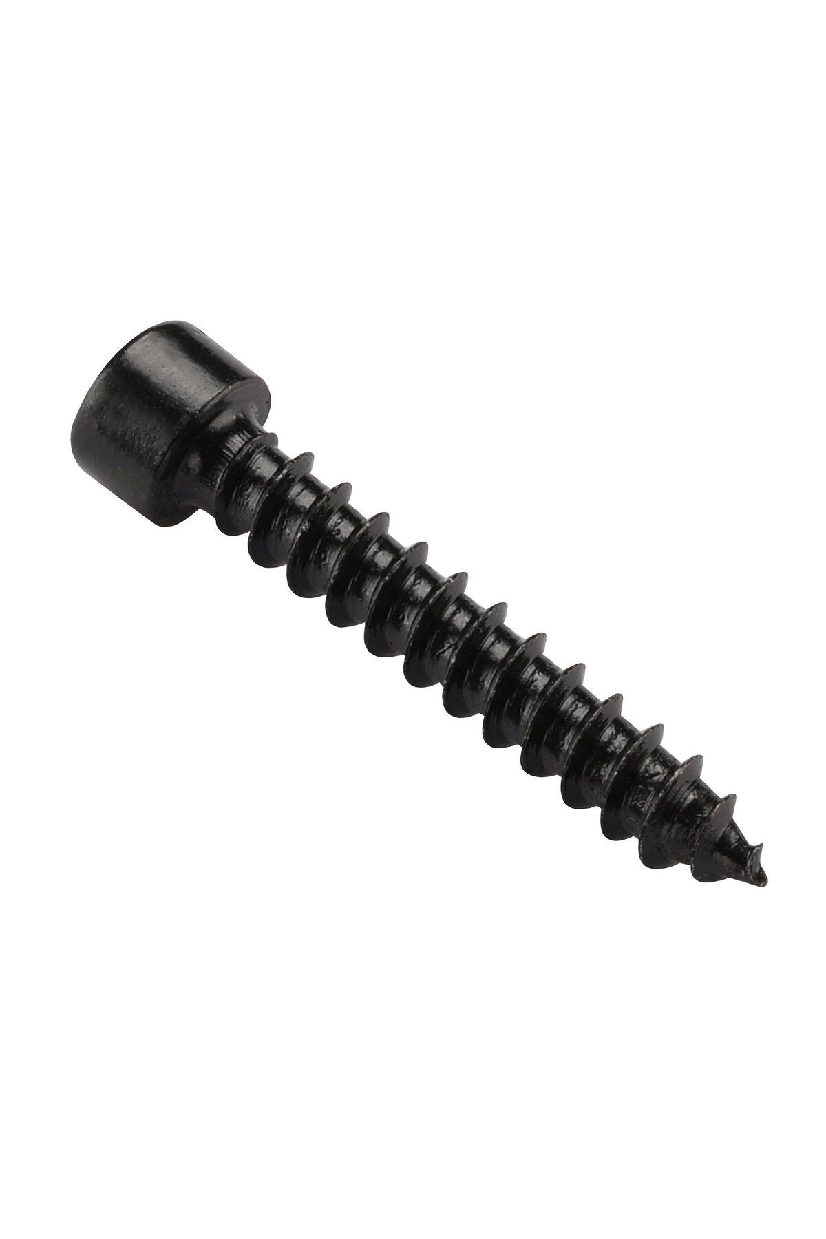 DL AUDIO Gryphon Lite Hex Screw 6mm