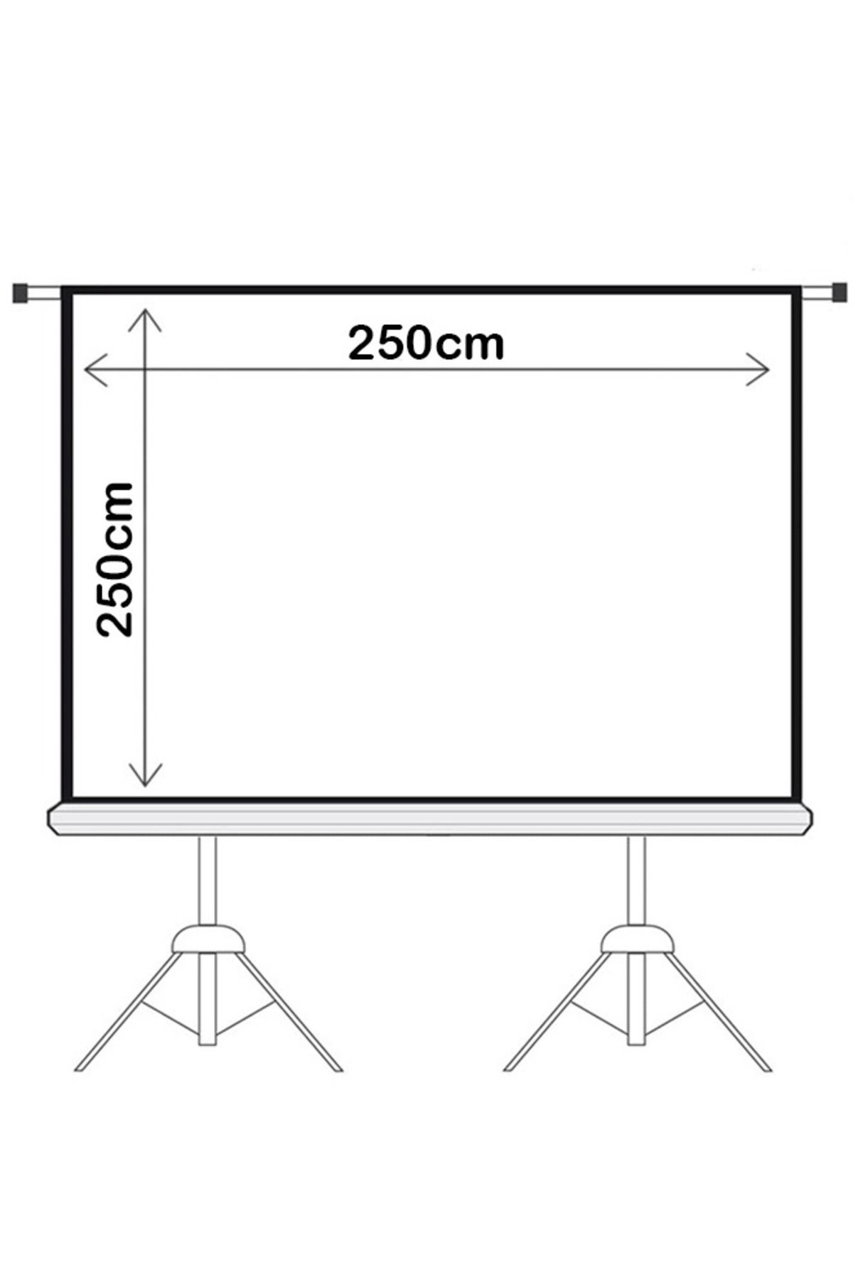 Taimi- Tripod Screen Projector with Dual Tripods - 250x250cm 2