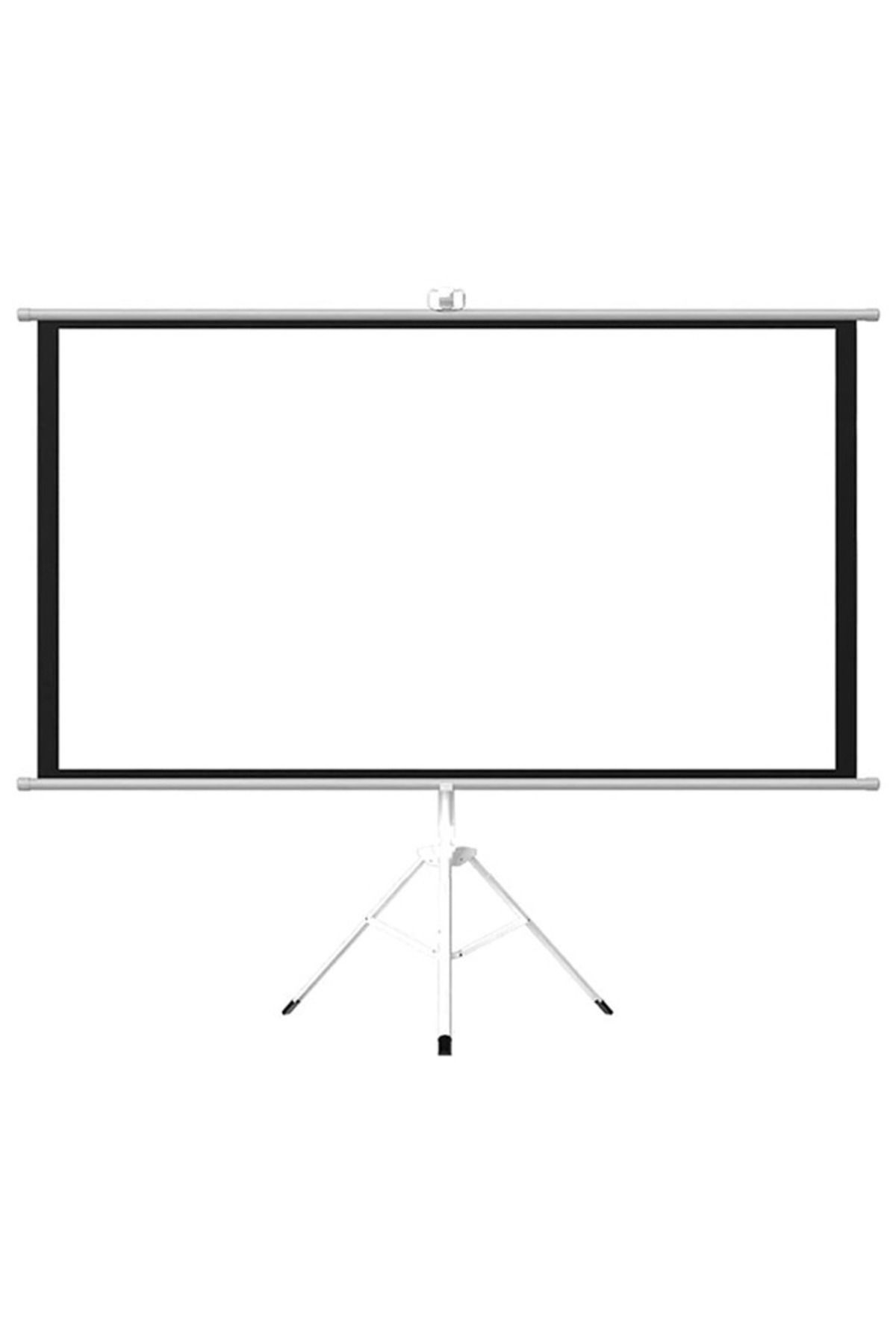 Taimi- Portable Tripod Screen Projector with Tripod Size 250X250cm 2