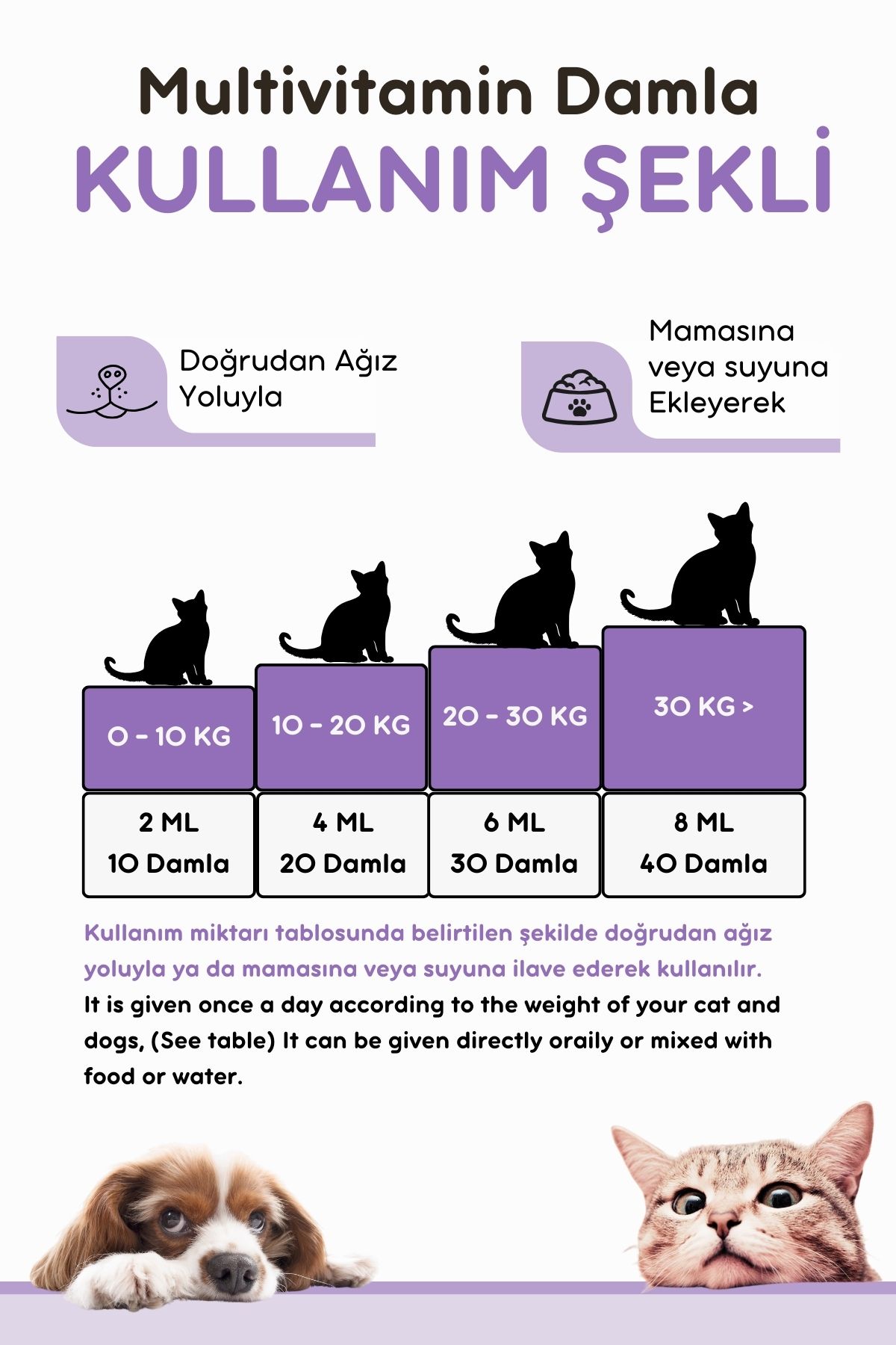 Günlük Kullanım Seti (B COMPLEX DAMLA & MALT PASTE) - 6