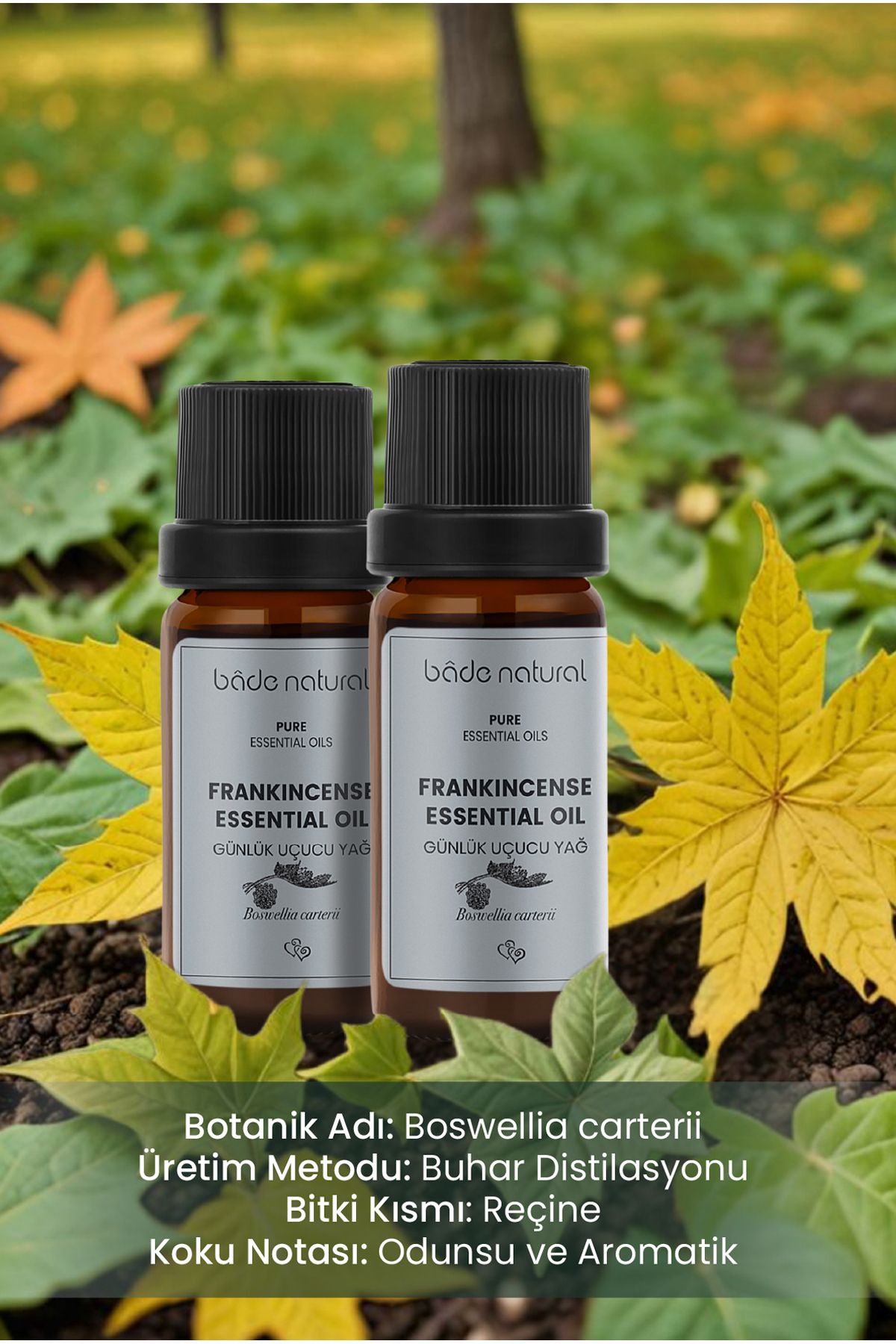 روغن مراقبتی کارخانه ها روزانه اسانس 100 ٪ خالص 10 میل Bade Natural