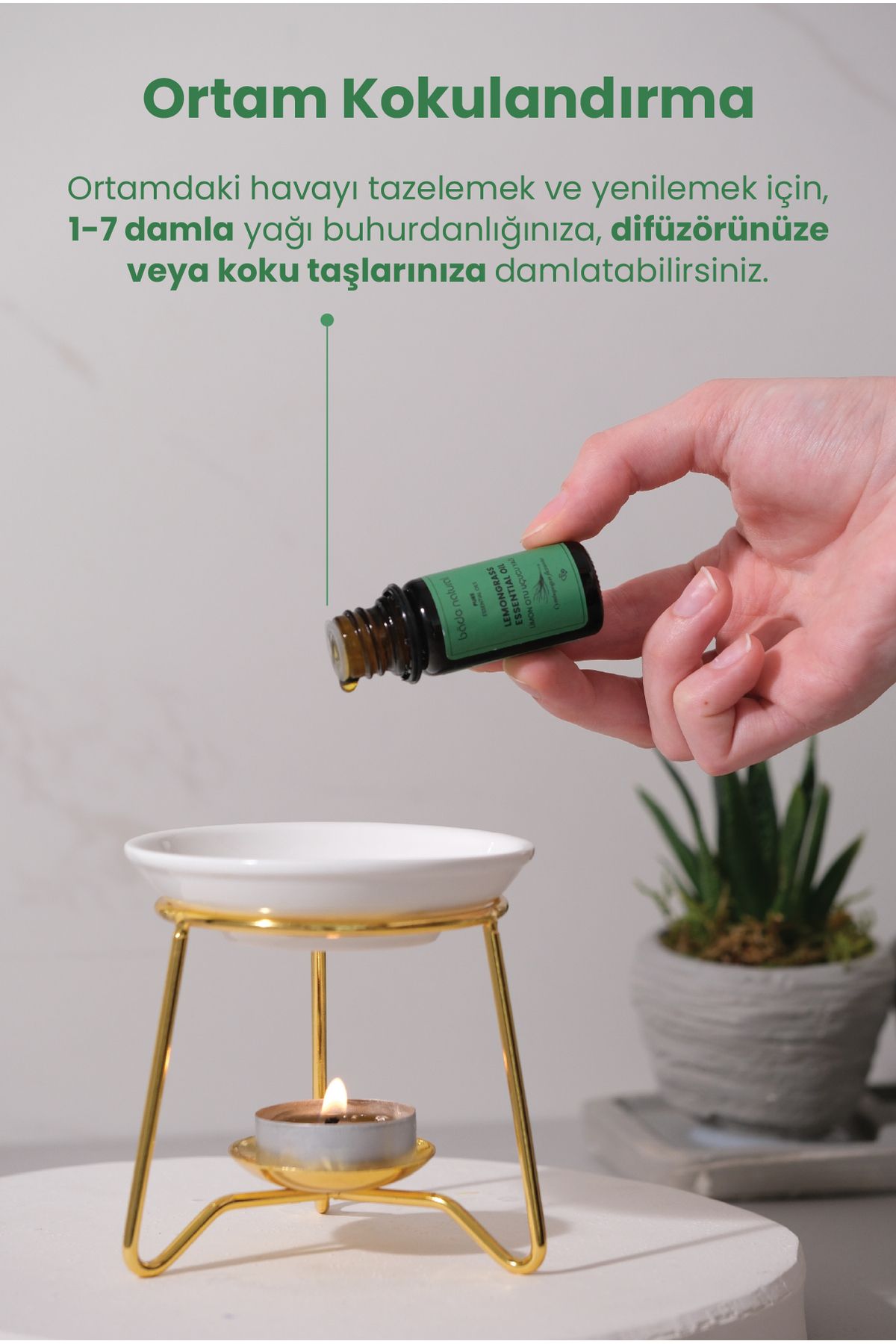 روغن مراقبتی اسانس چمن لیمو 100 ٪ خالص 10 میل Bade Natural