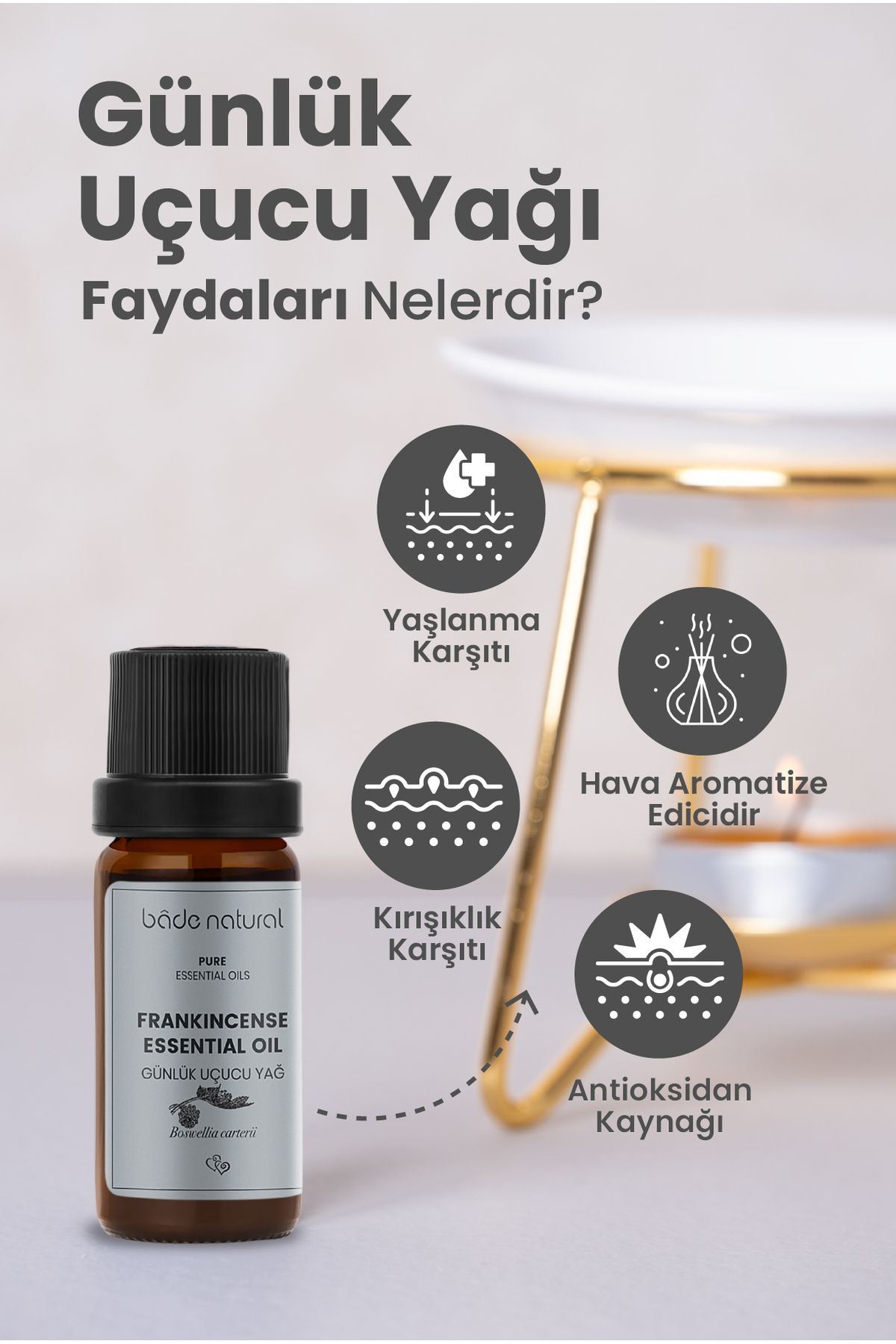 روغن مراقبتی کارخانه ها روزانه اسانس 100 ٪ خالص 10 میل Bade Natural