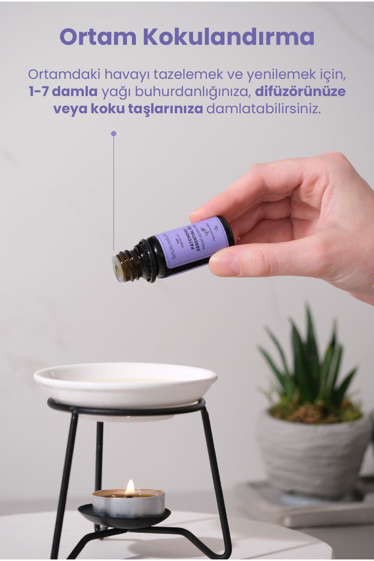 روغن مراقبتی ویرایش پاچولی 100 ٪ خالص 10 میل Bade Natural