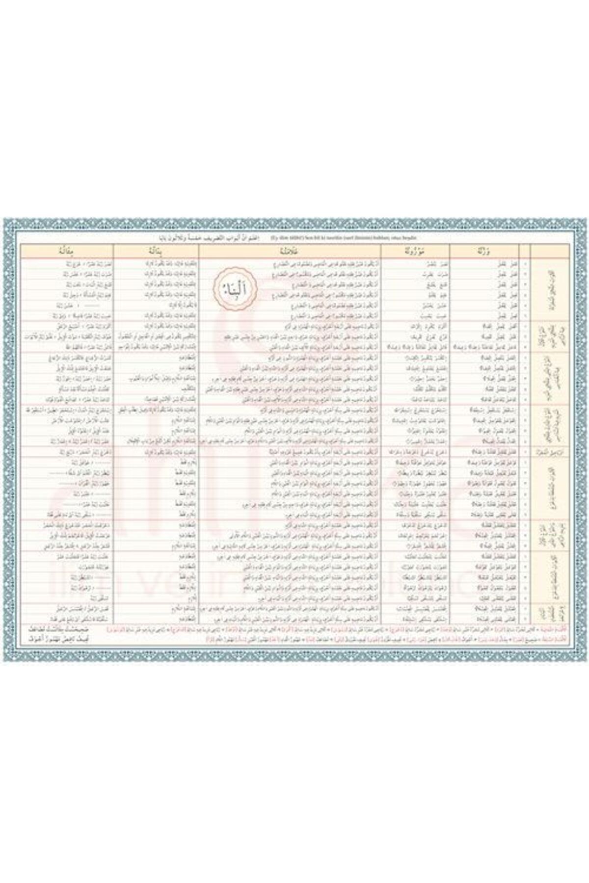 أهيشكا ياينيفي-مخطط بناء Emsile ملون 2