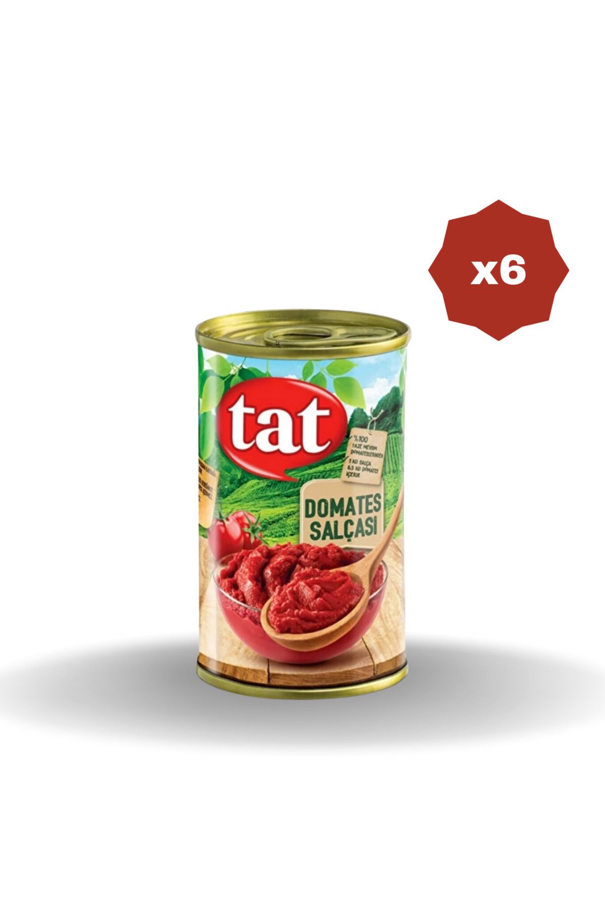 Tat DOMATES SALÇASI 170 GR - (6 ADET)